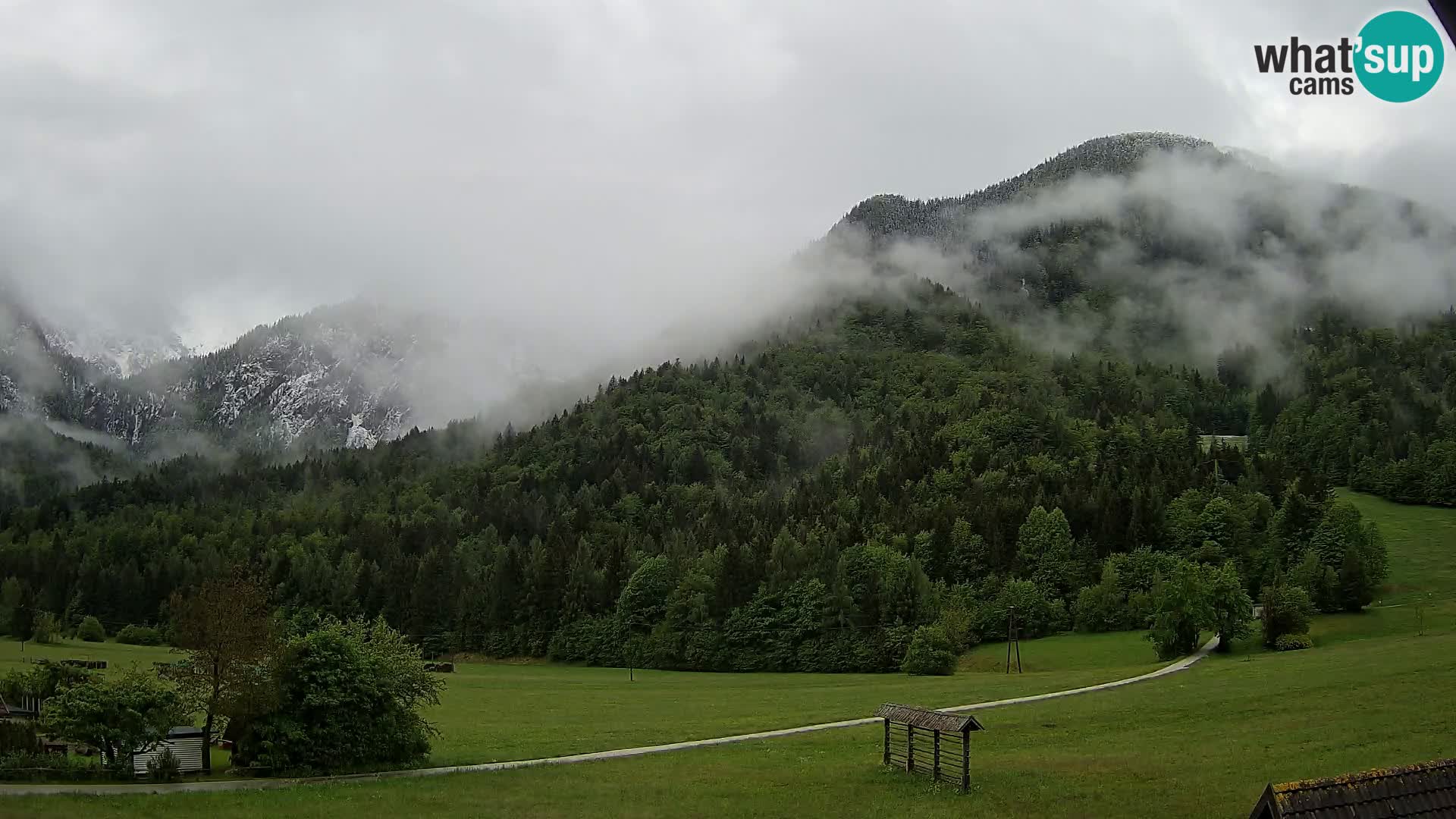 Gozd Martuljek – Špik Mountain Group