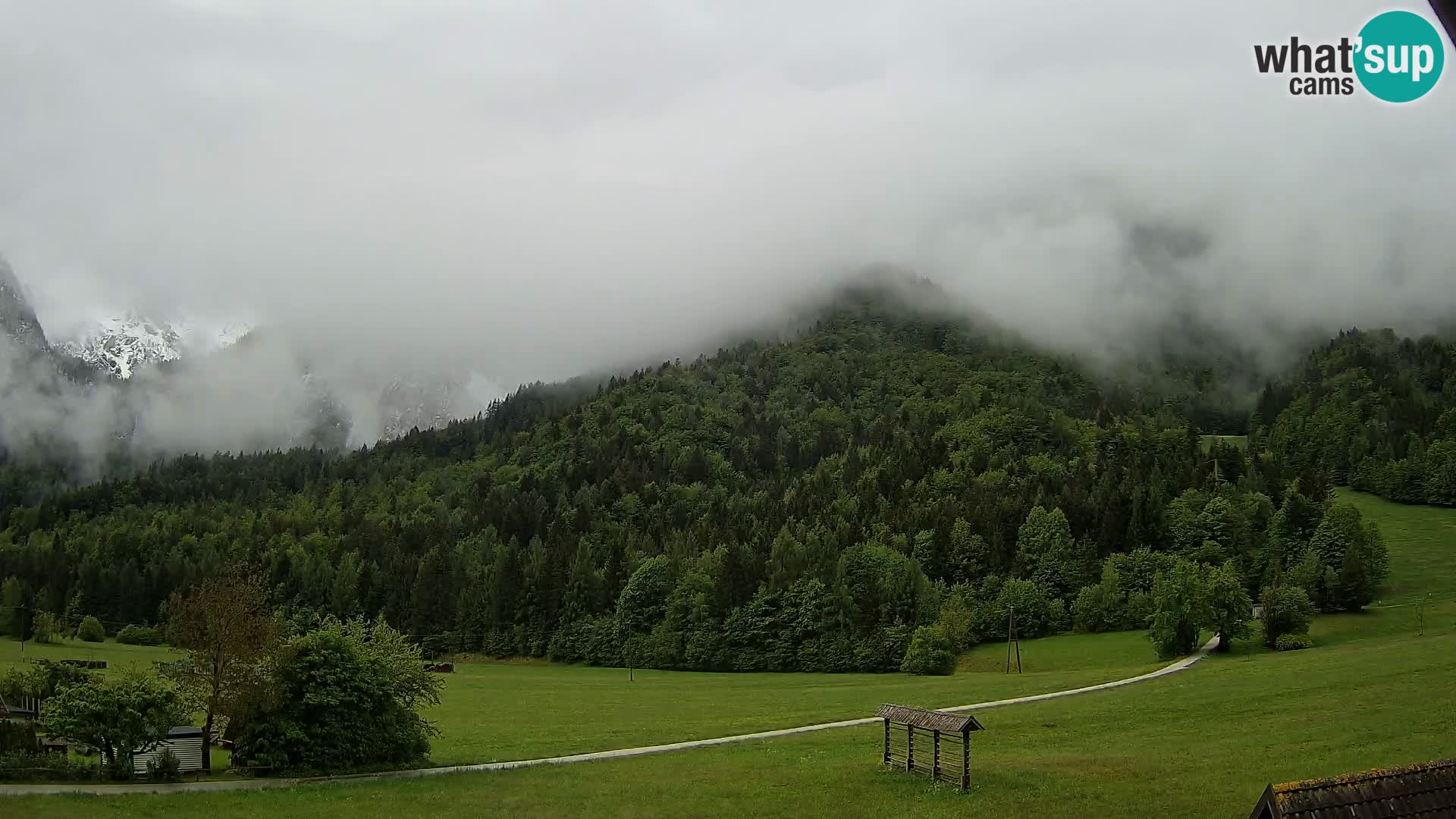 Gozd Martuljek –  planinski lanac Špik