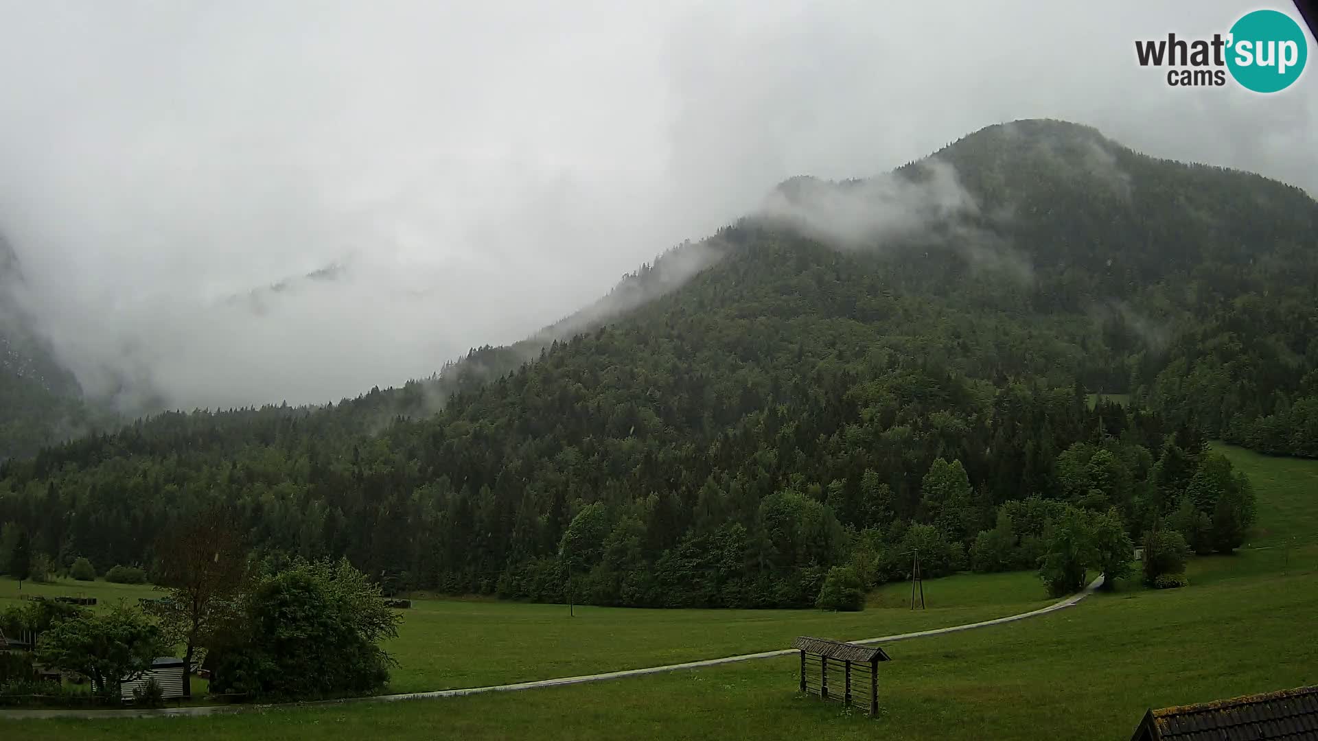Gozd Martuljek – Špik Mountain Group
