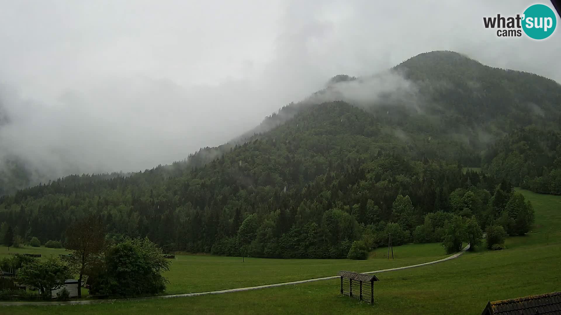 Gozd Martuljek – Špikova skupina