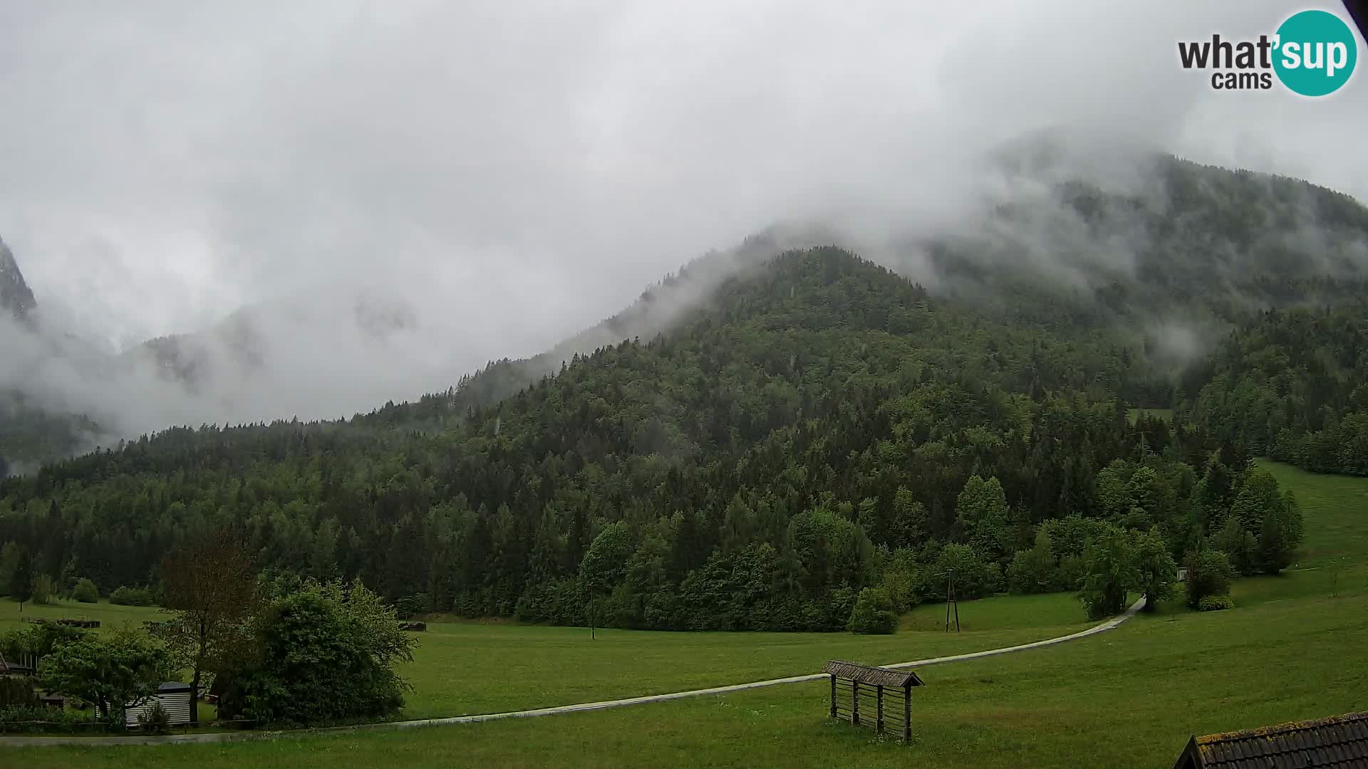 Gozd Martuljek – Špikova skupina