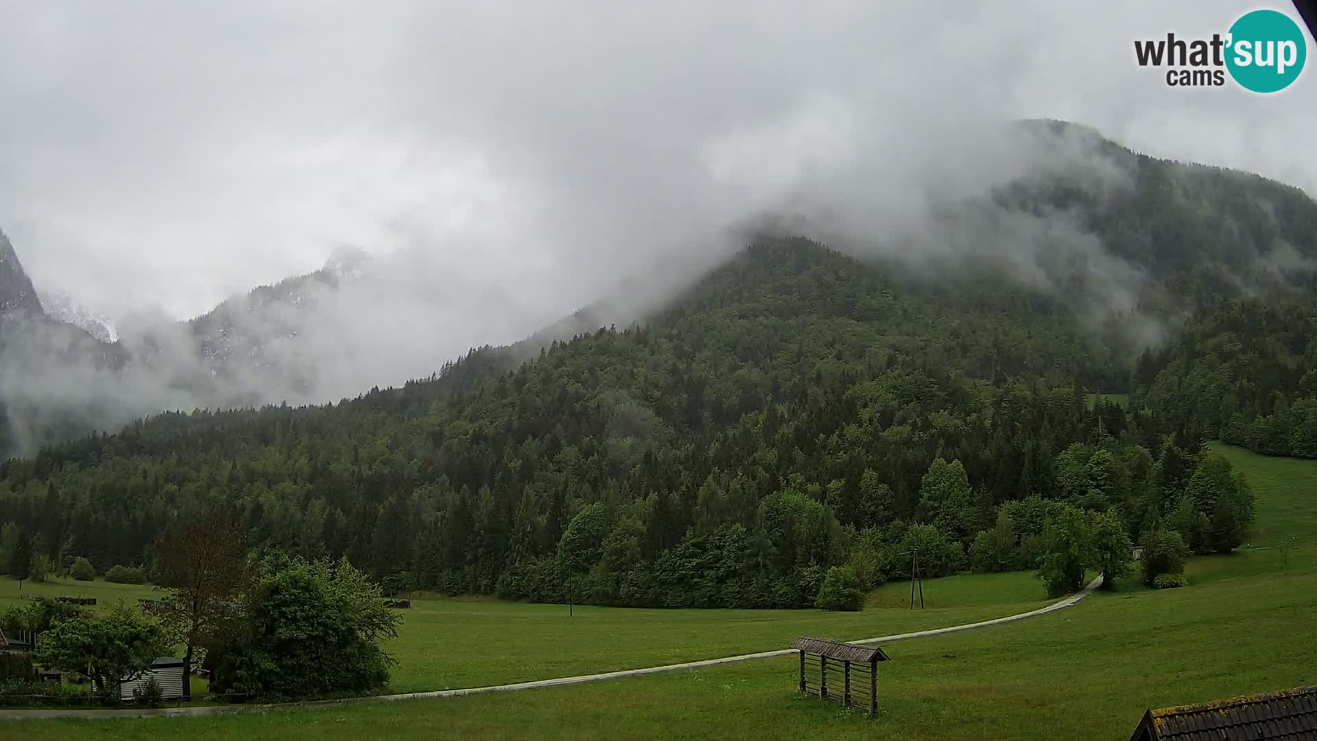 Gozd Martuljek – Špikova skupina
