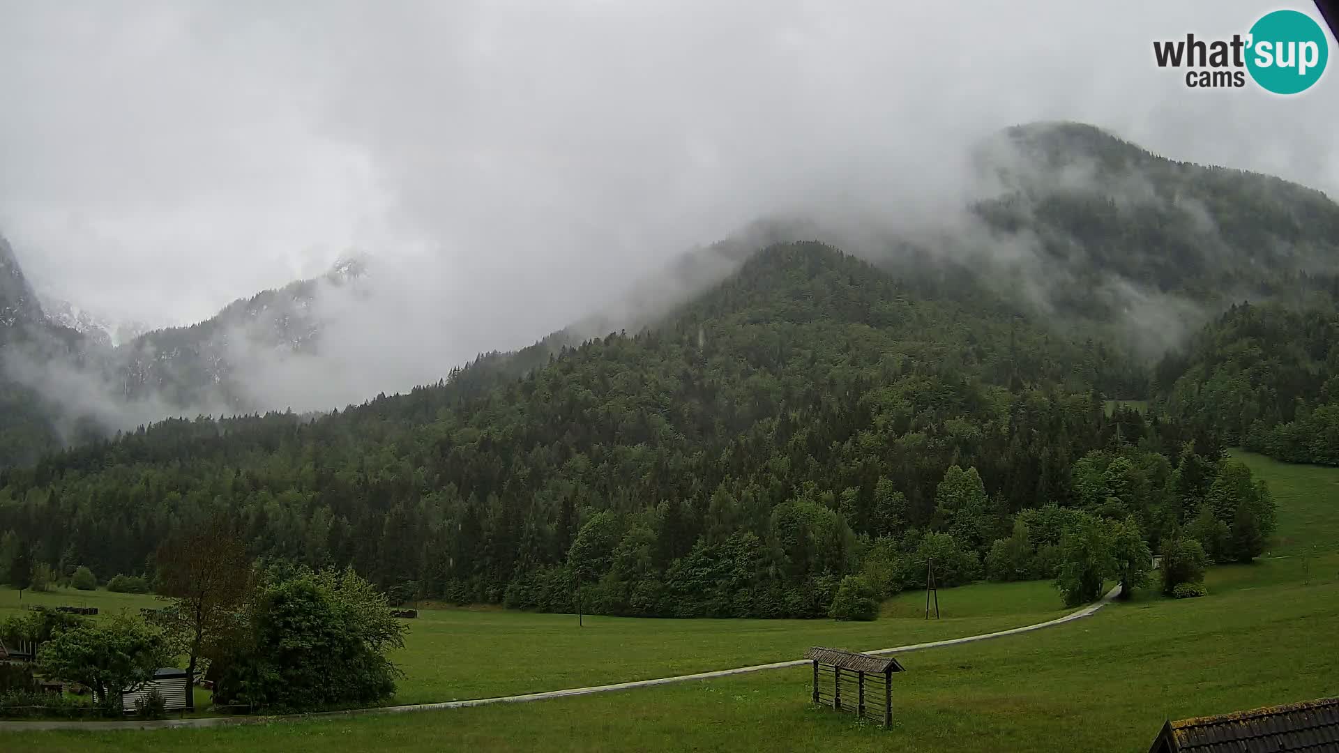 Gozd Martuljek – Špik Mountain Group