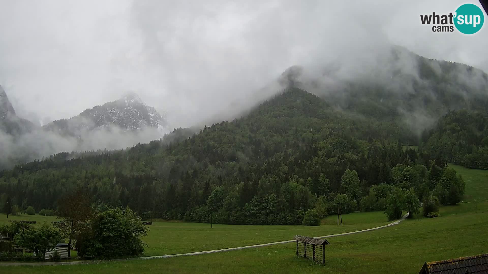 Gozd Martuljek –  planinski lanac Špik