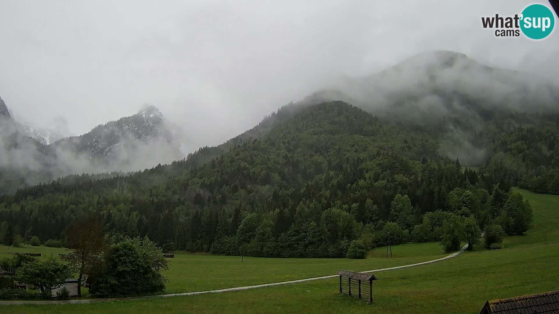 Gozd Martuljek – Špikova skupina