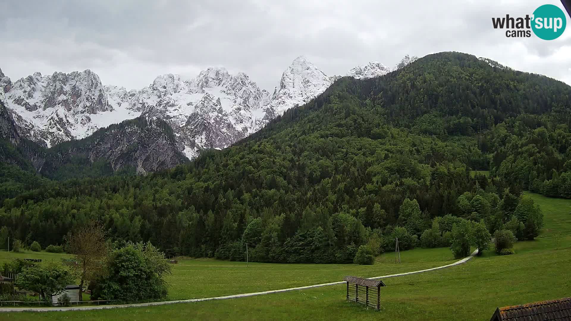 Gozd Martuljek – Špik Mountain Group