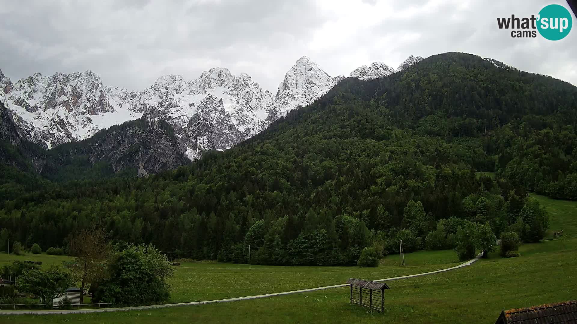 Gozd Martuljek – Špik Mountain Group