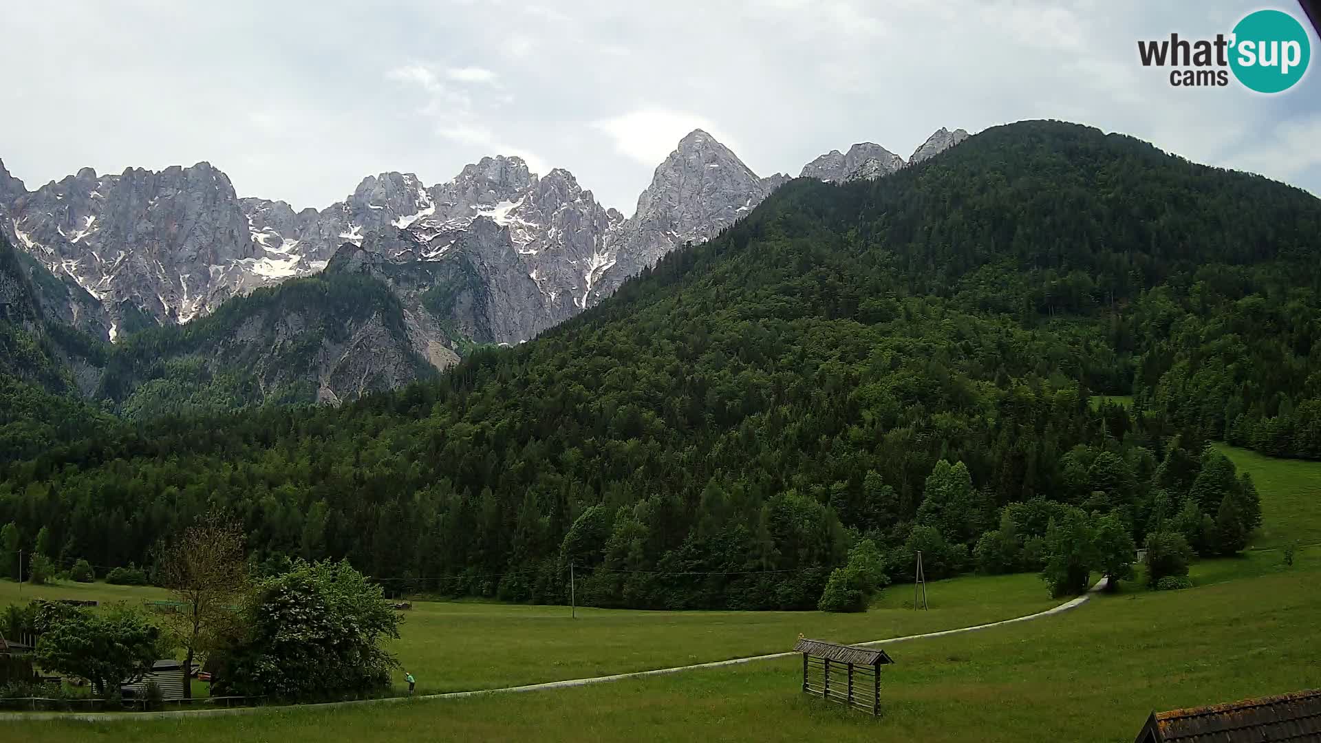 Gozd Martuljek – Špikova skupina
