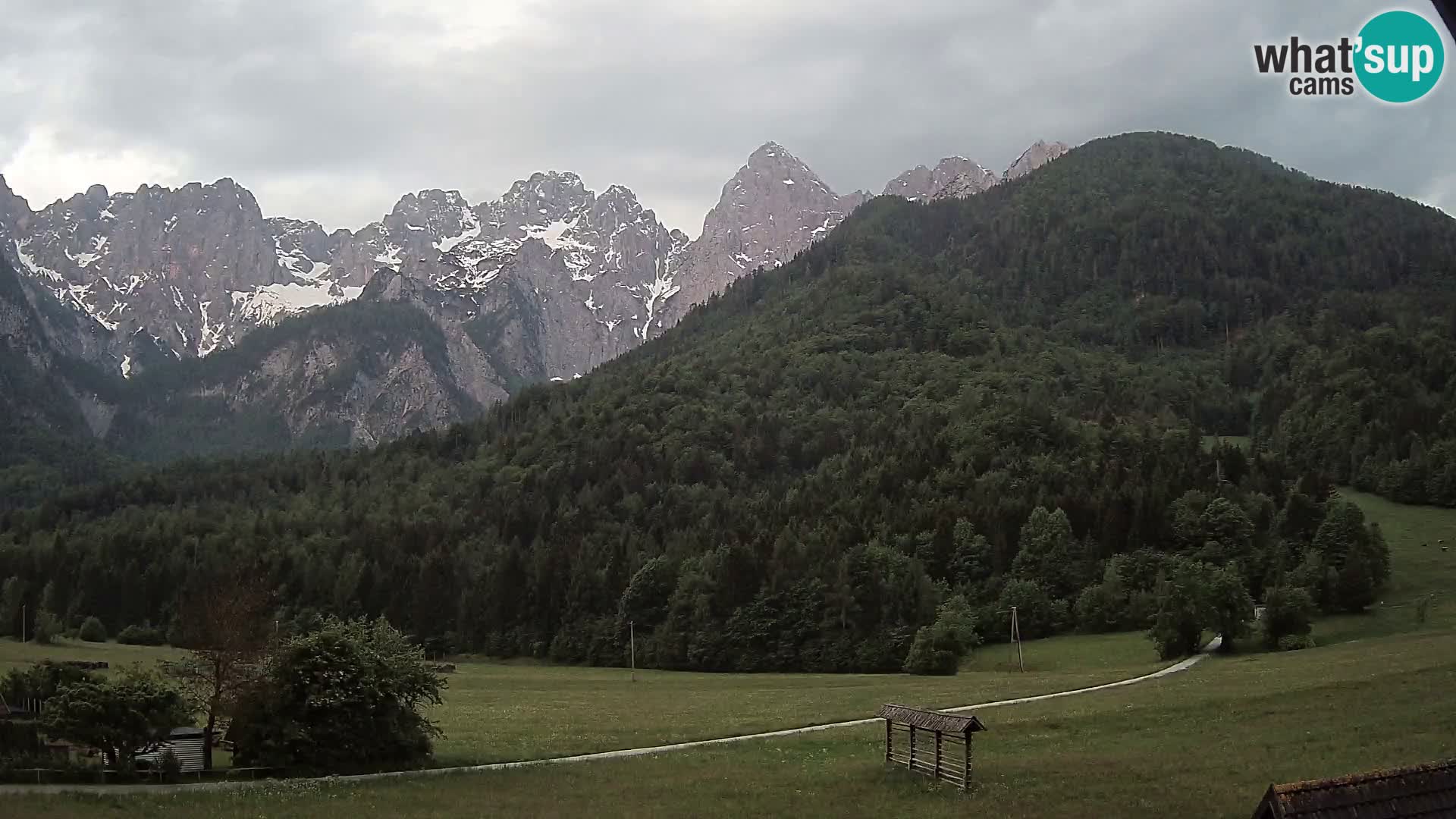 Gozd Martuljek – Špikova skupina