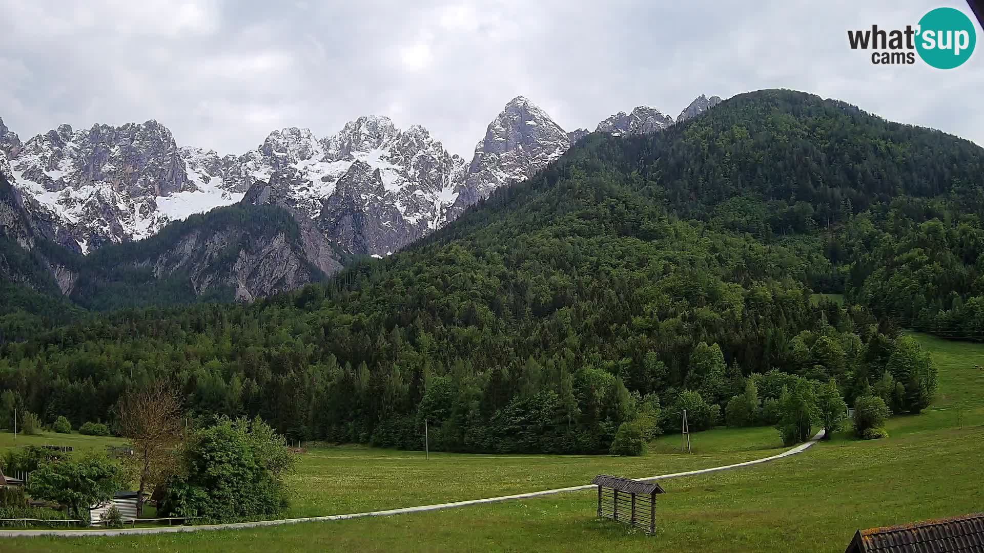 Gozd Martuljek – Špik Mountain Group