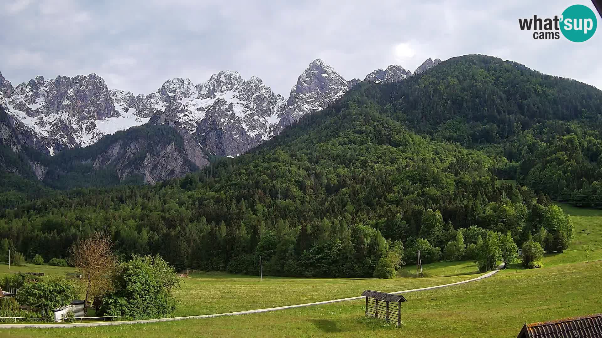 Gozd Martuljek – Špik Mountain Group