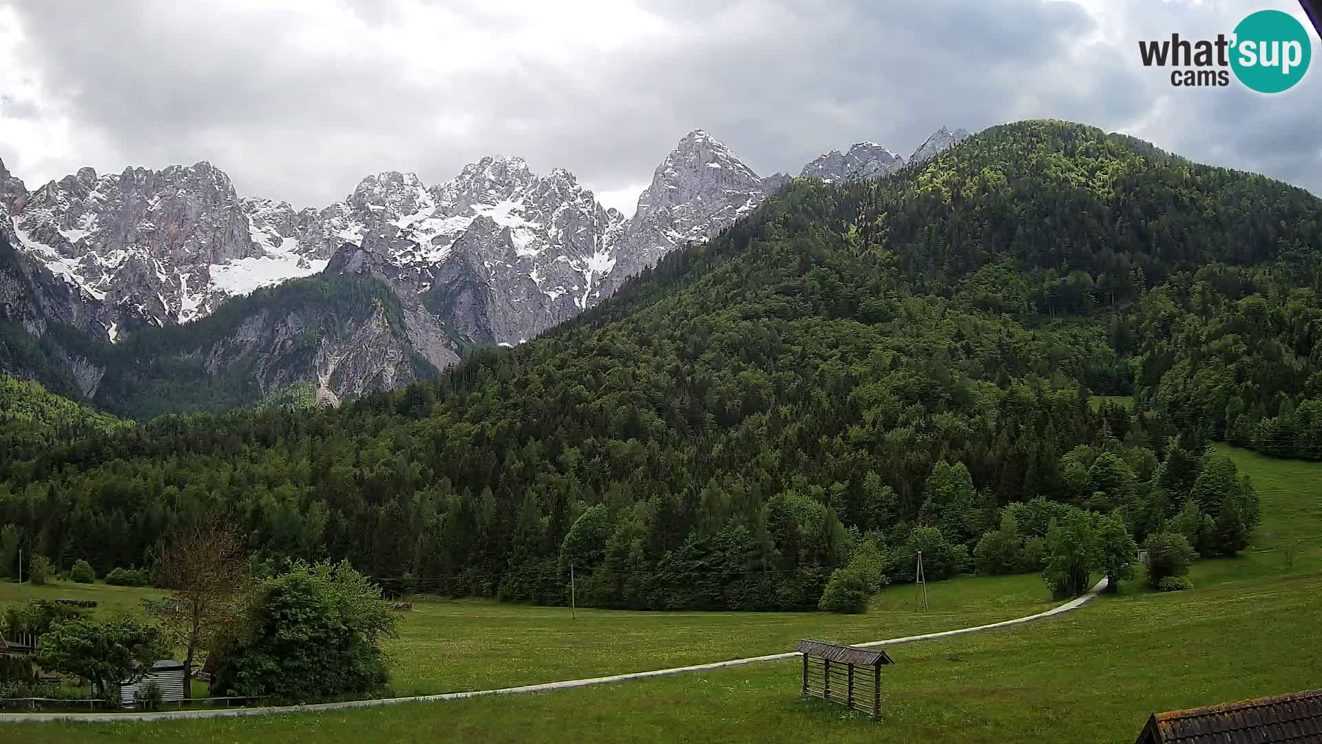 Gozd Martuljek – Špik Mountain Group