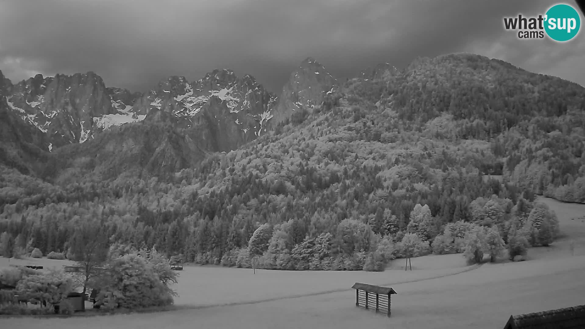 Gozd Martuljek – Špik Mountain Group