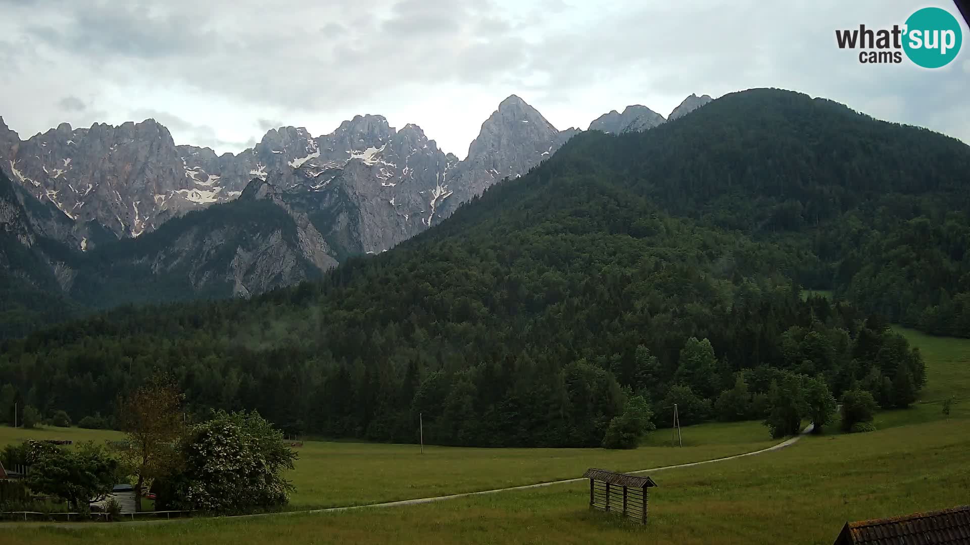 Gozd Martuljek – Špik Mountain Group