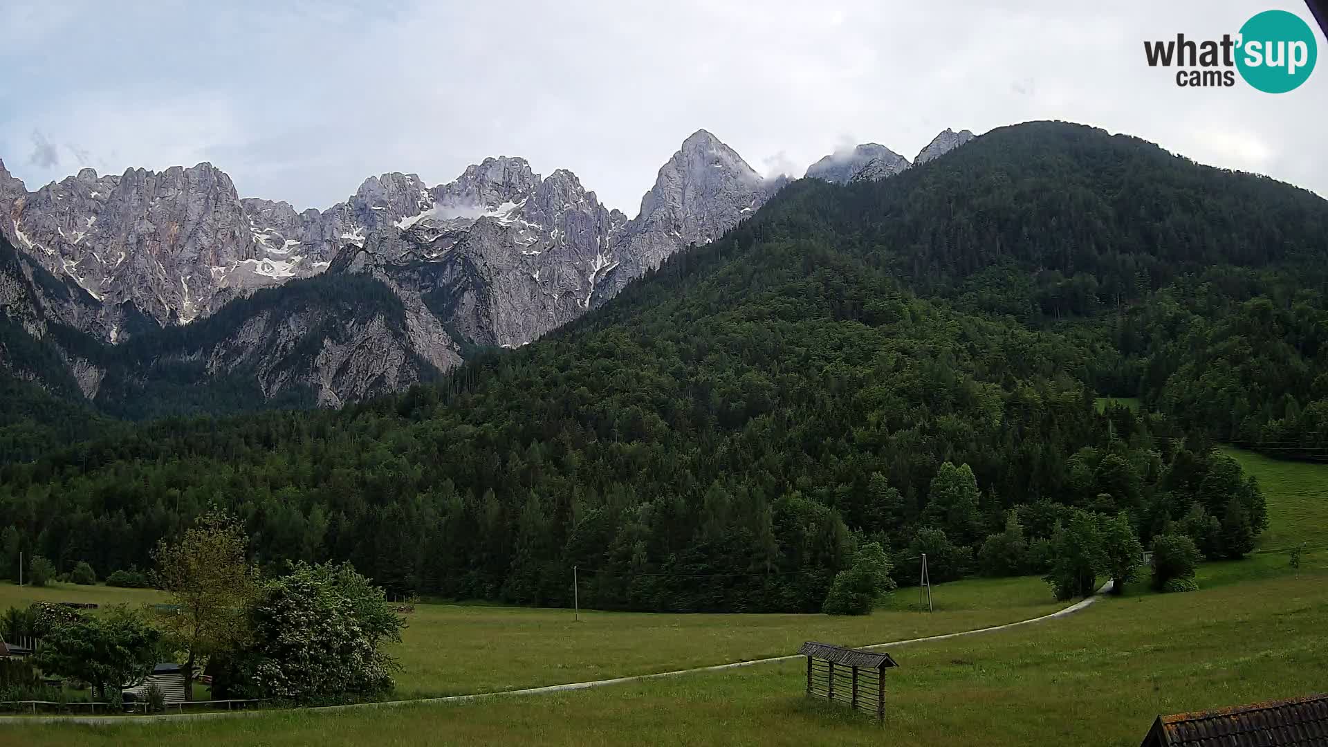 Gozd Martuljek – Špik Mountain Group