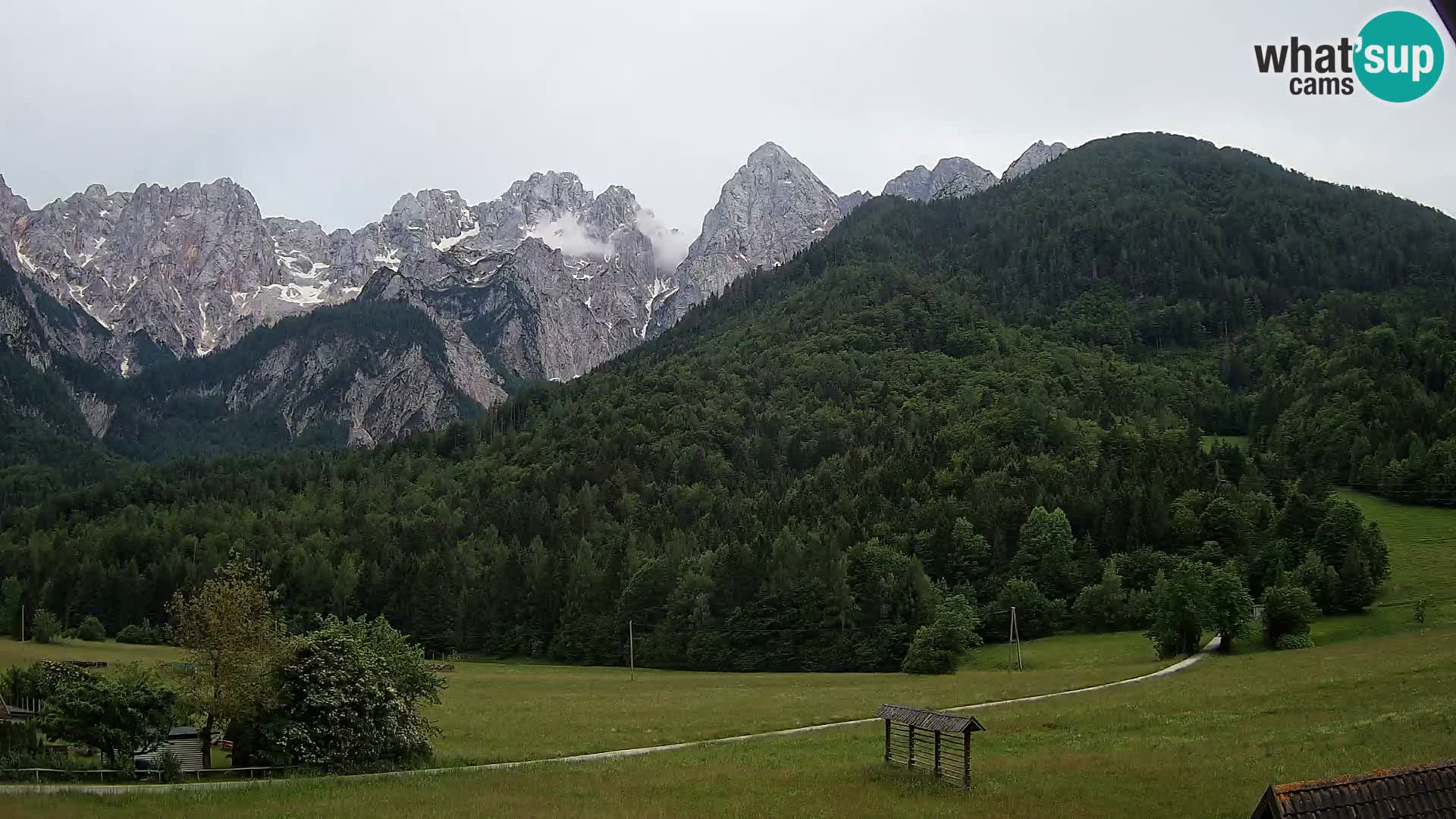 Gozd Martuljek – Špikova skupina