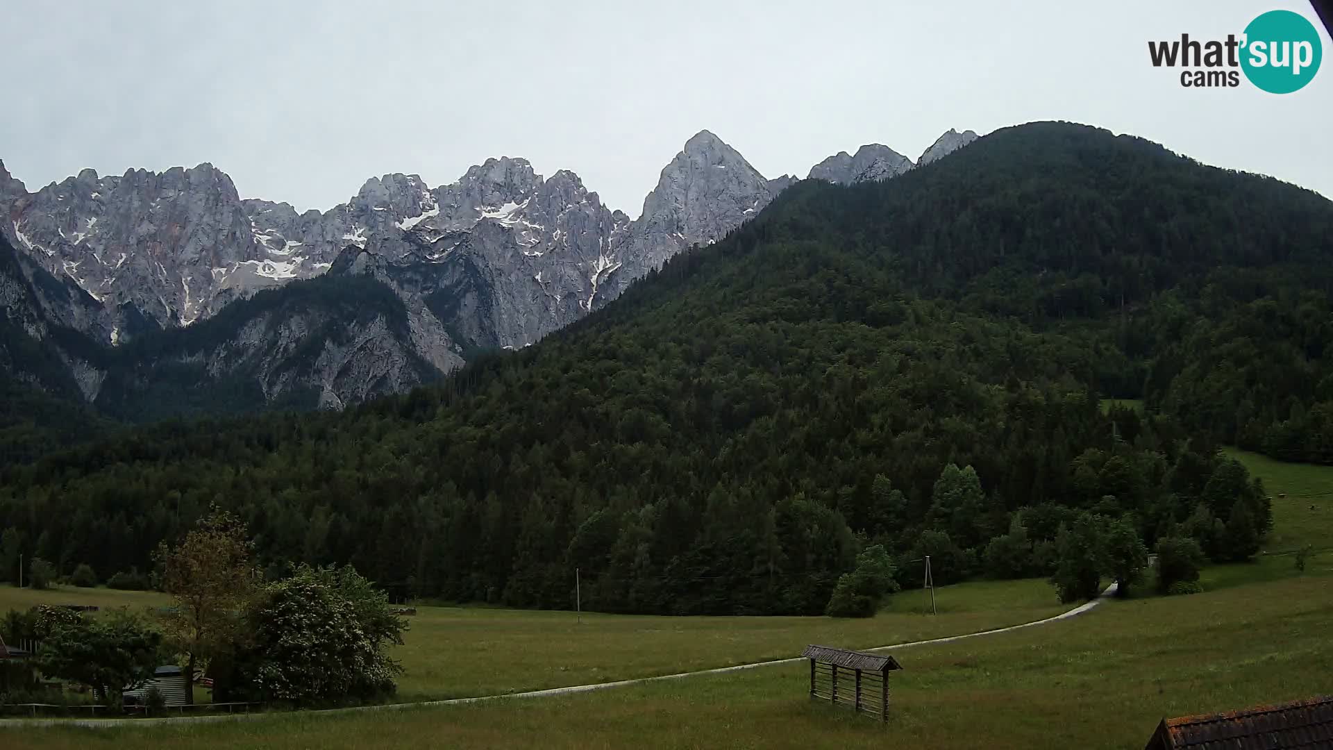 Gozd Martuljek –  planinski lanac Špik