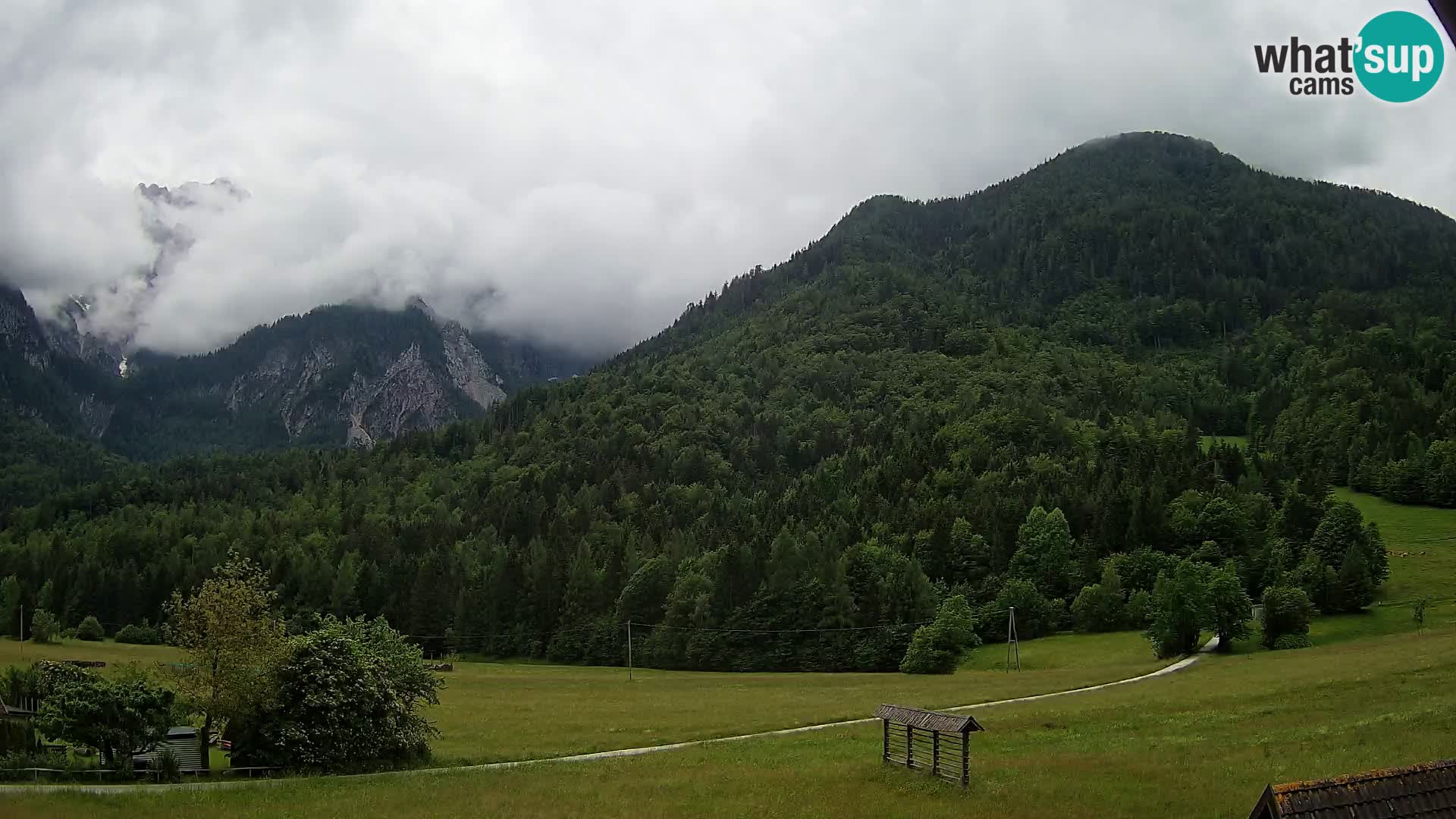 Gozd Martuljek – Špikova skupina