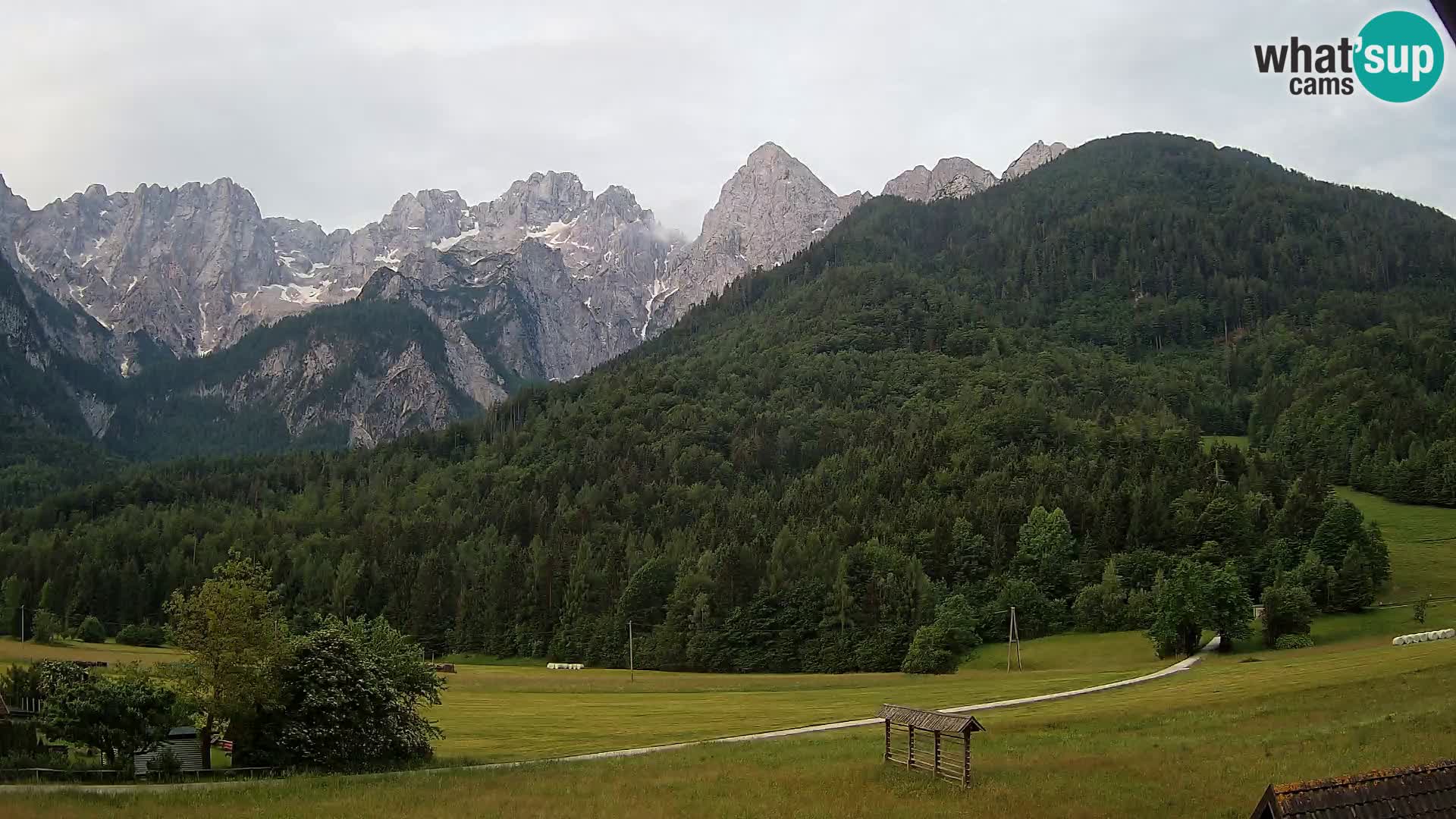 Gozd Martuljek – Špik Mountain Group