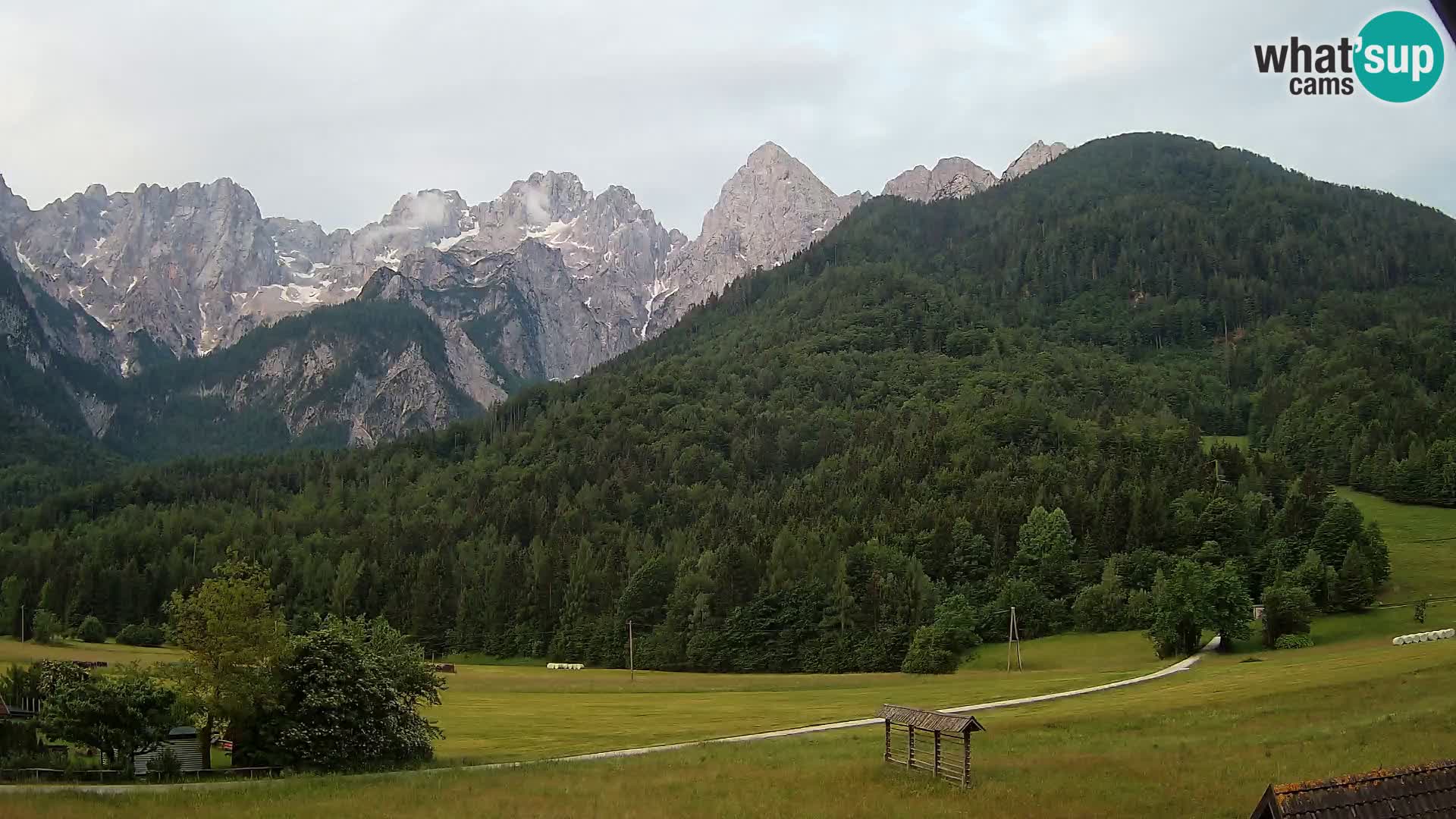 Gozd Martuljek – Špik Mountain Group