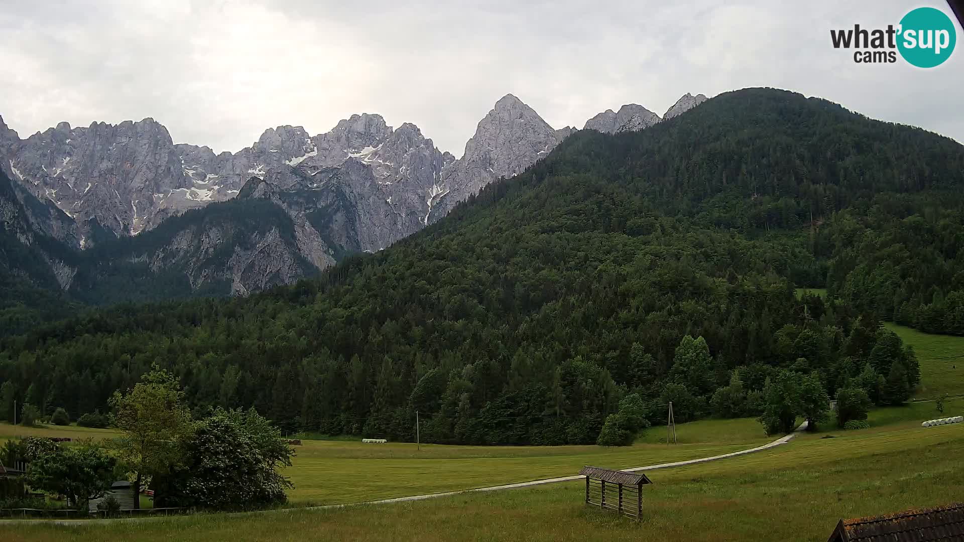 Gozd Martuljek – Špikova skupina