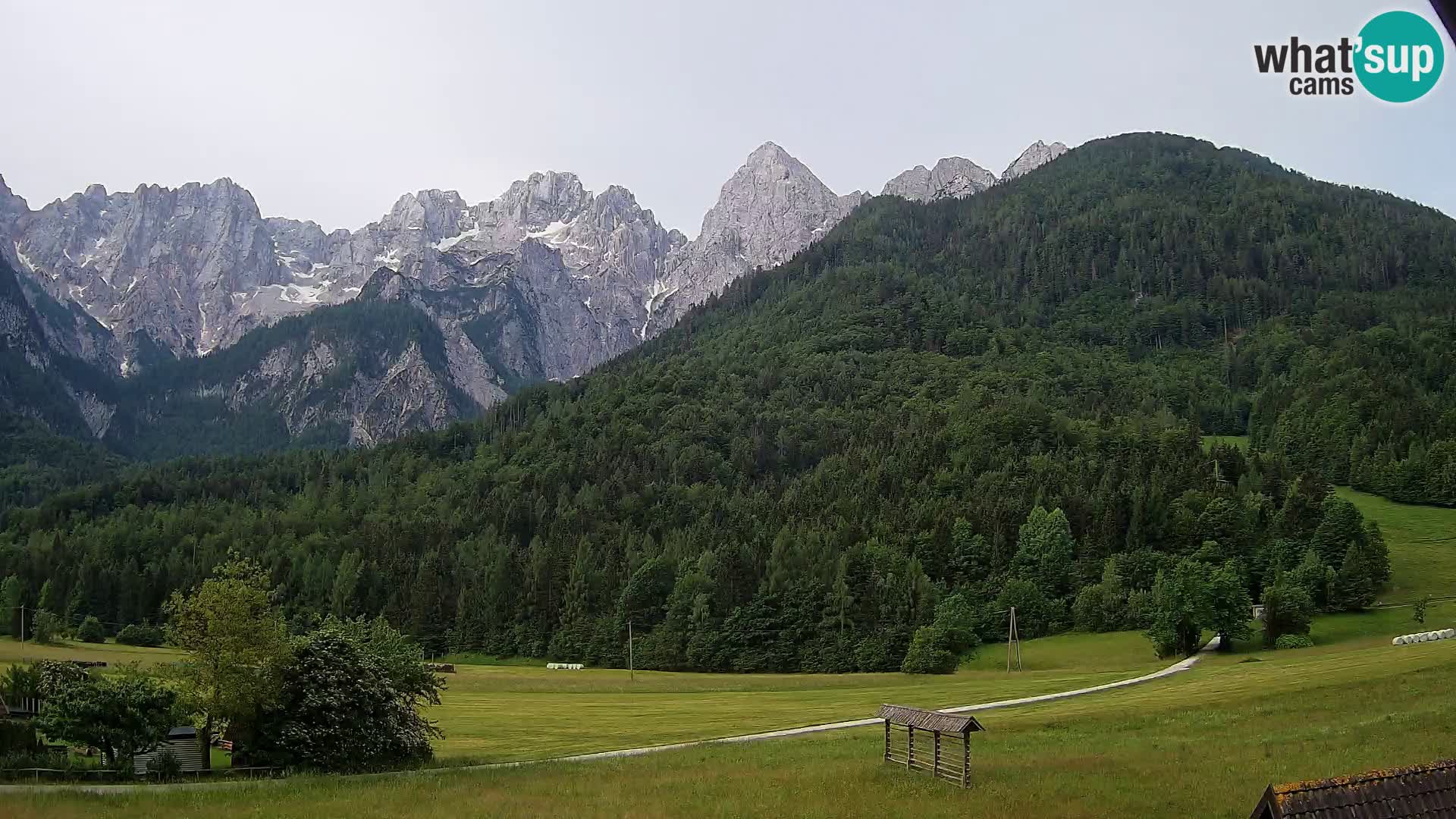 Gozd Martuljek – Špik Mountain Group