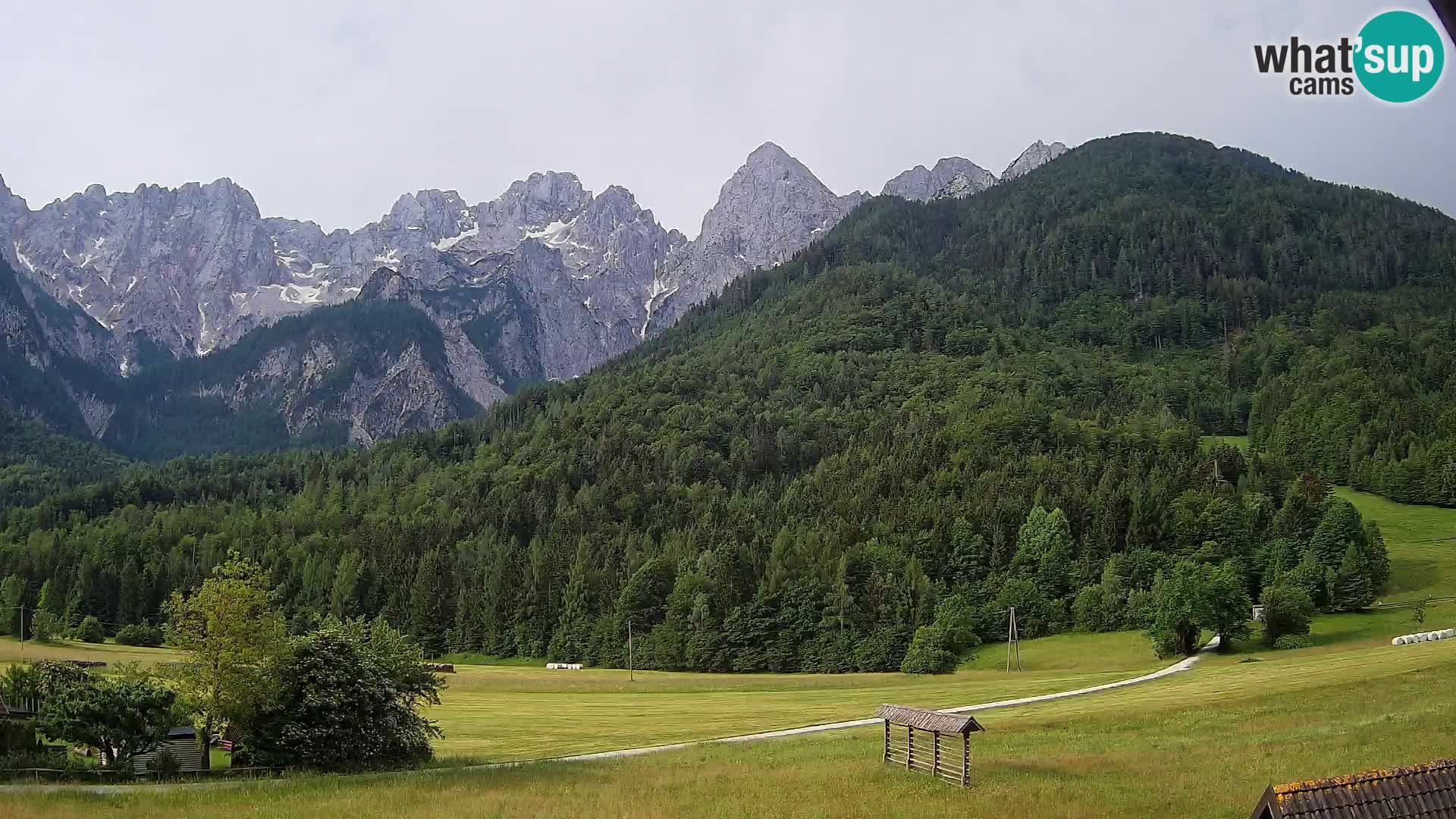 Gozd Martuljek – Špikova skupina
