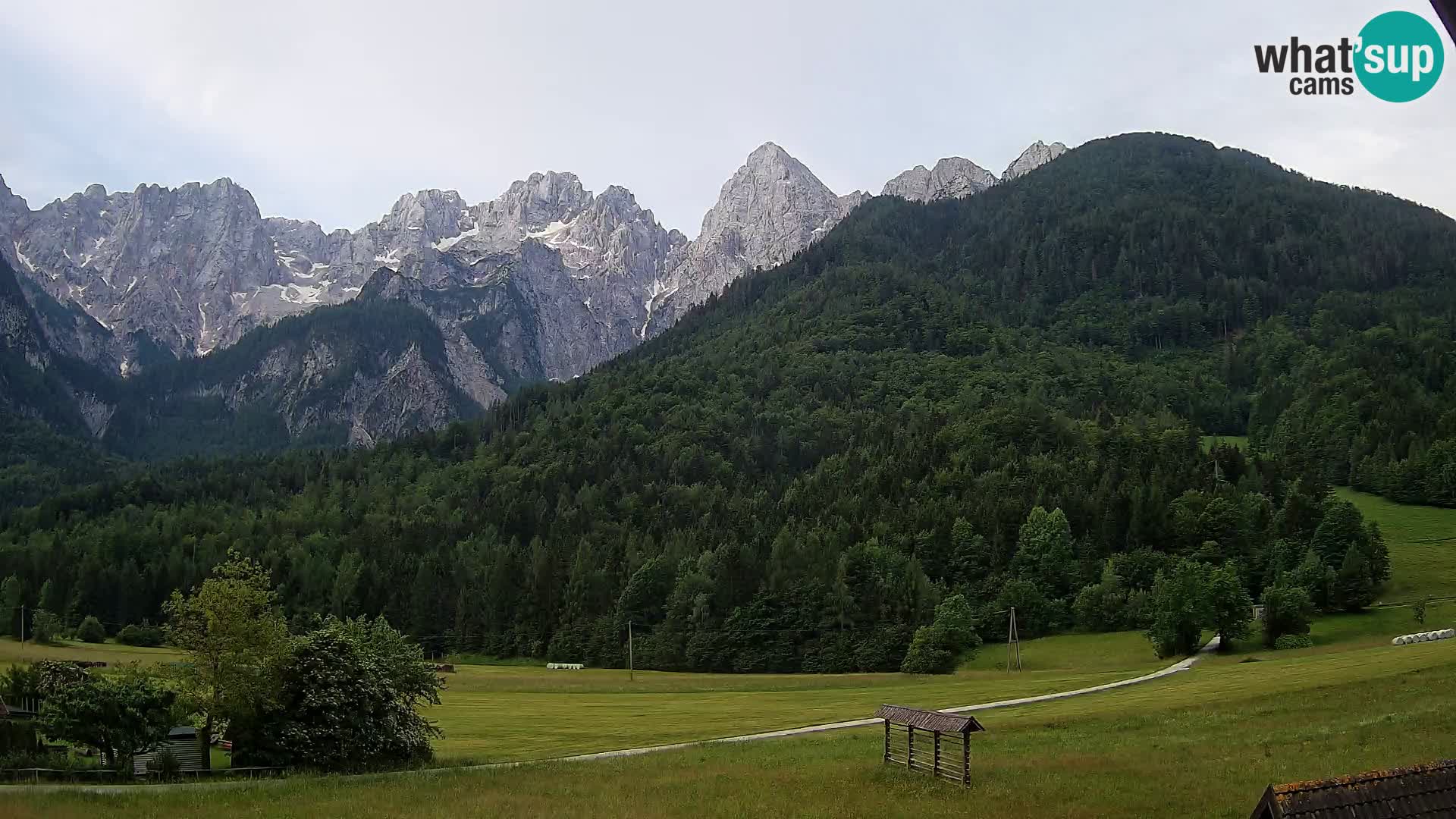 Gozd Martuljek – Špikova skupina