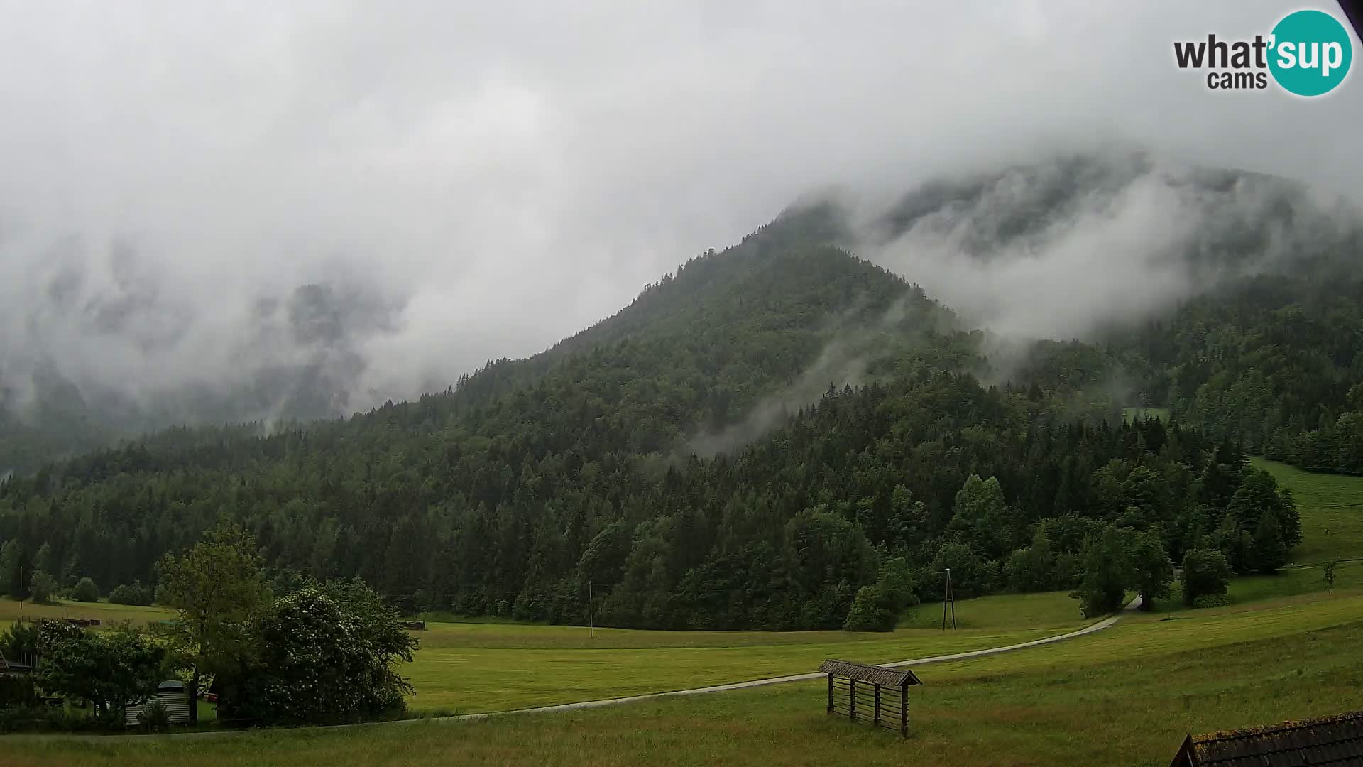 Gozd Martuljek – Špik Mountain Group