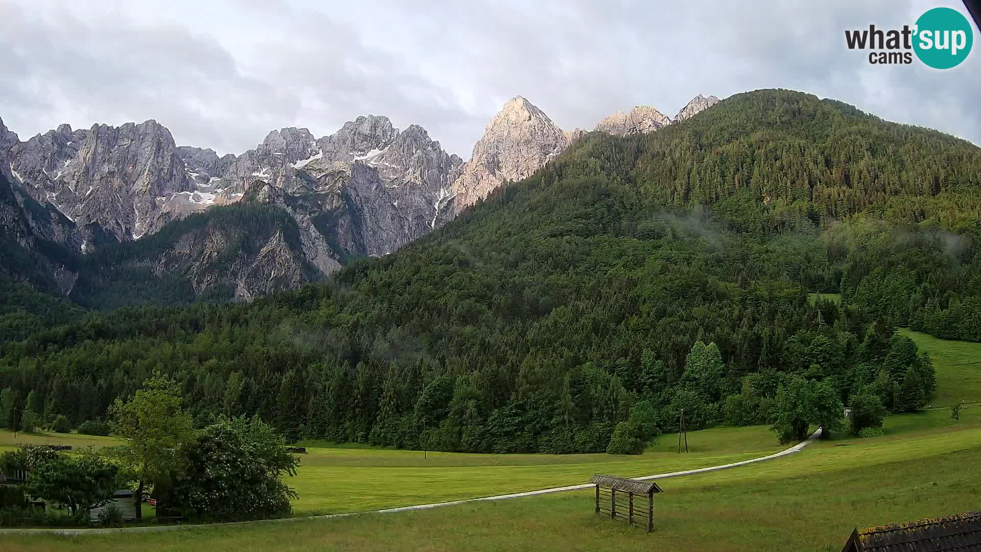 Gozd Martuljek – Špik Mountain Group