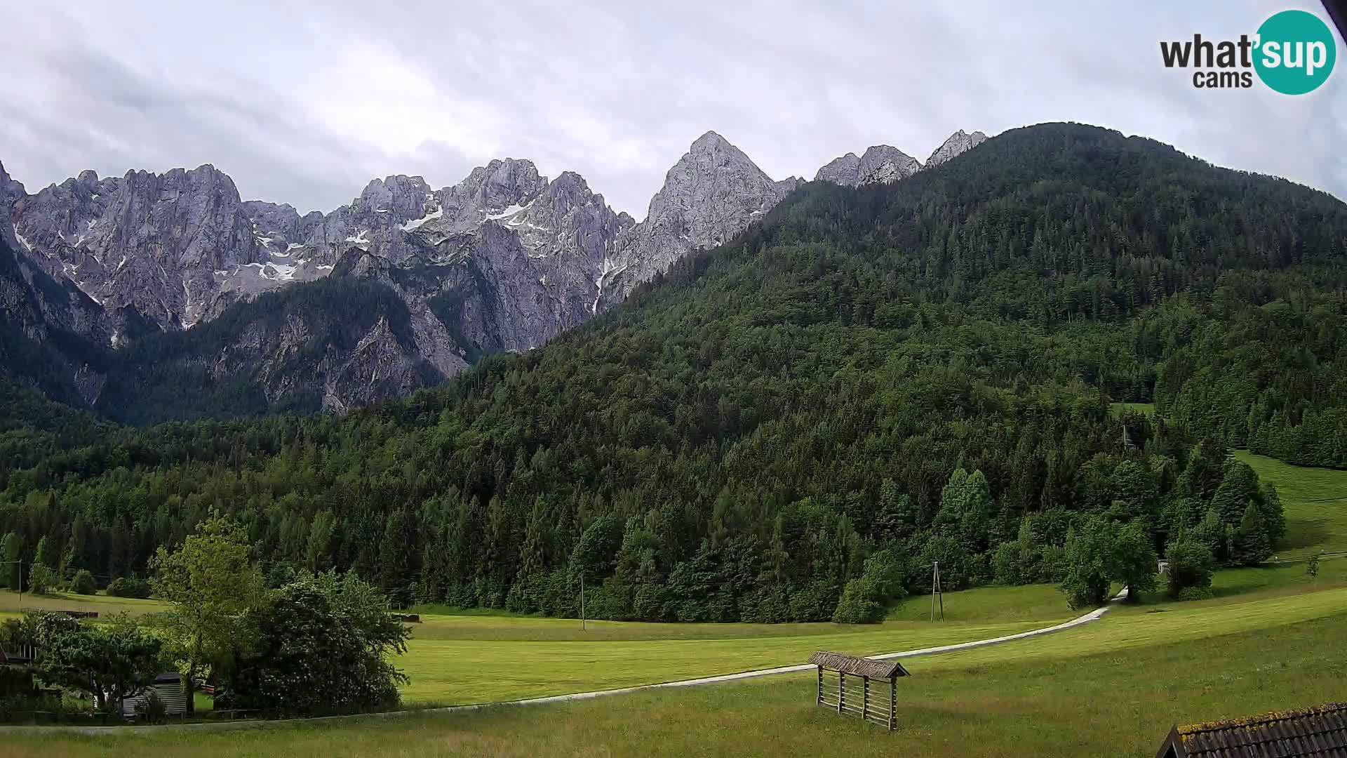 Gozd Martuljek – Špik Mountain Group