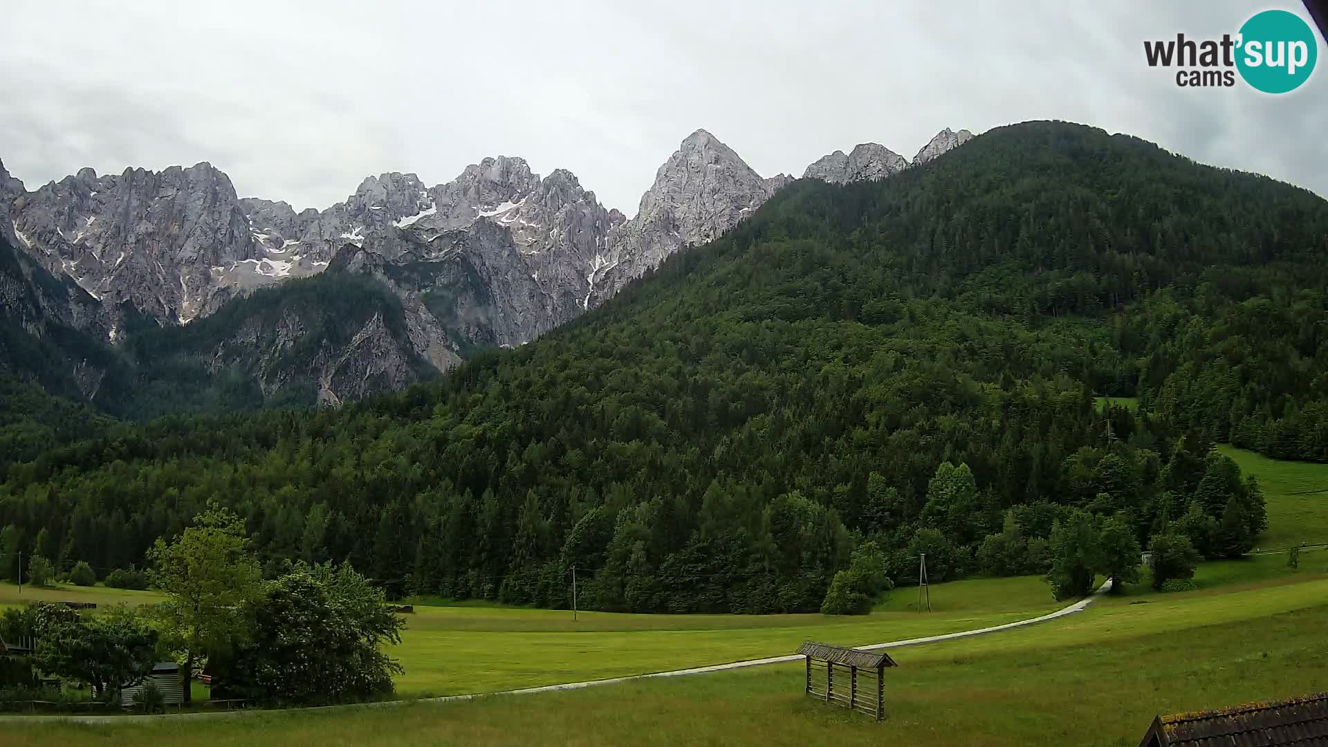 Gozd Martuljek – Špikova skupina