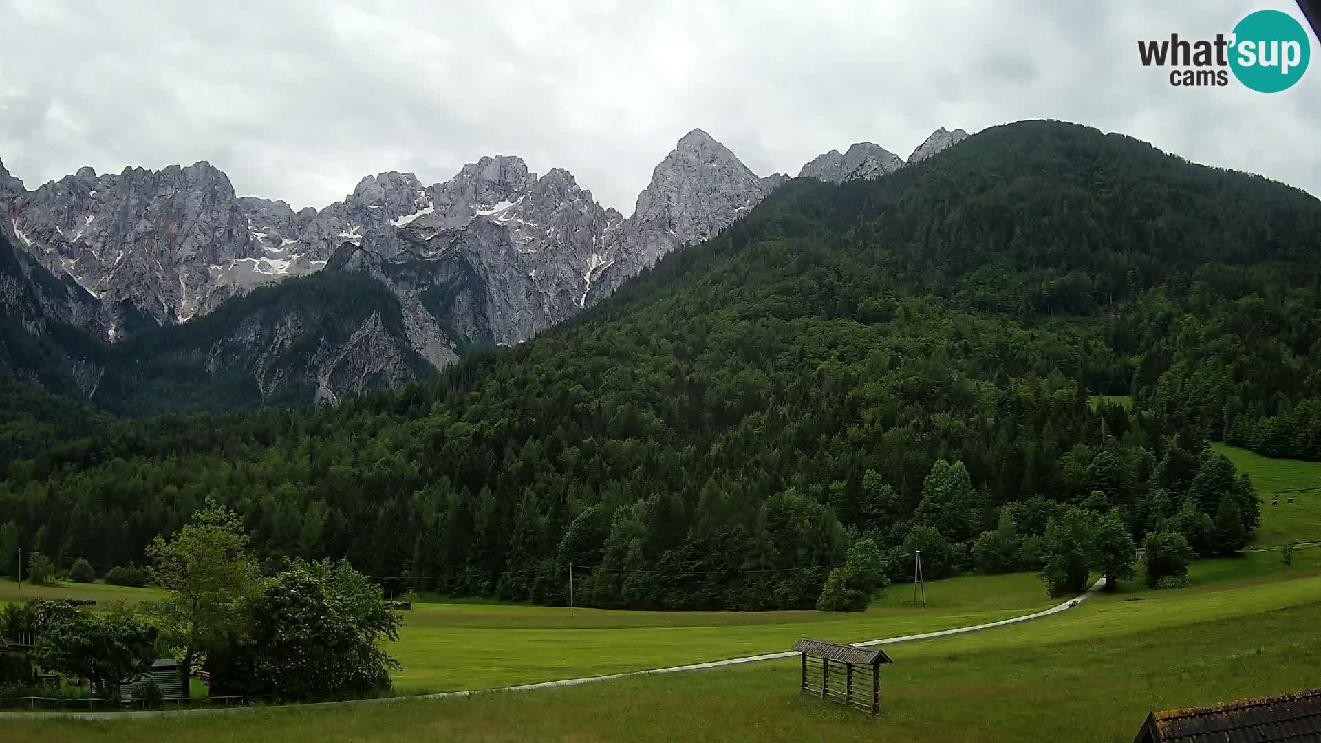 Gozd Martuljek – Špikova skupina
