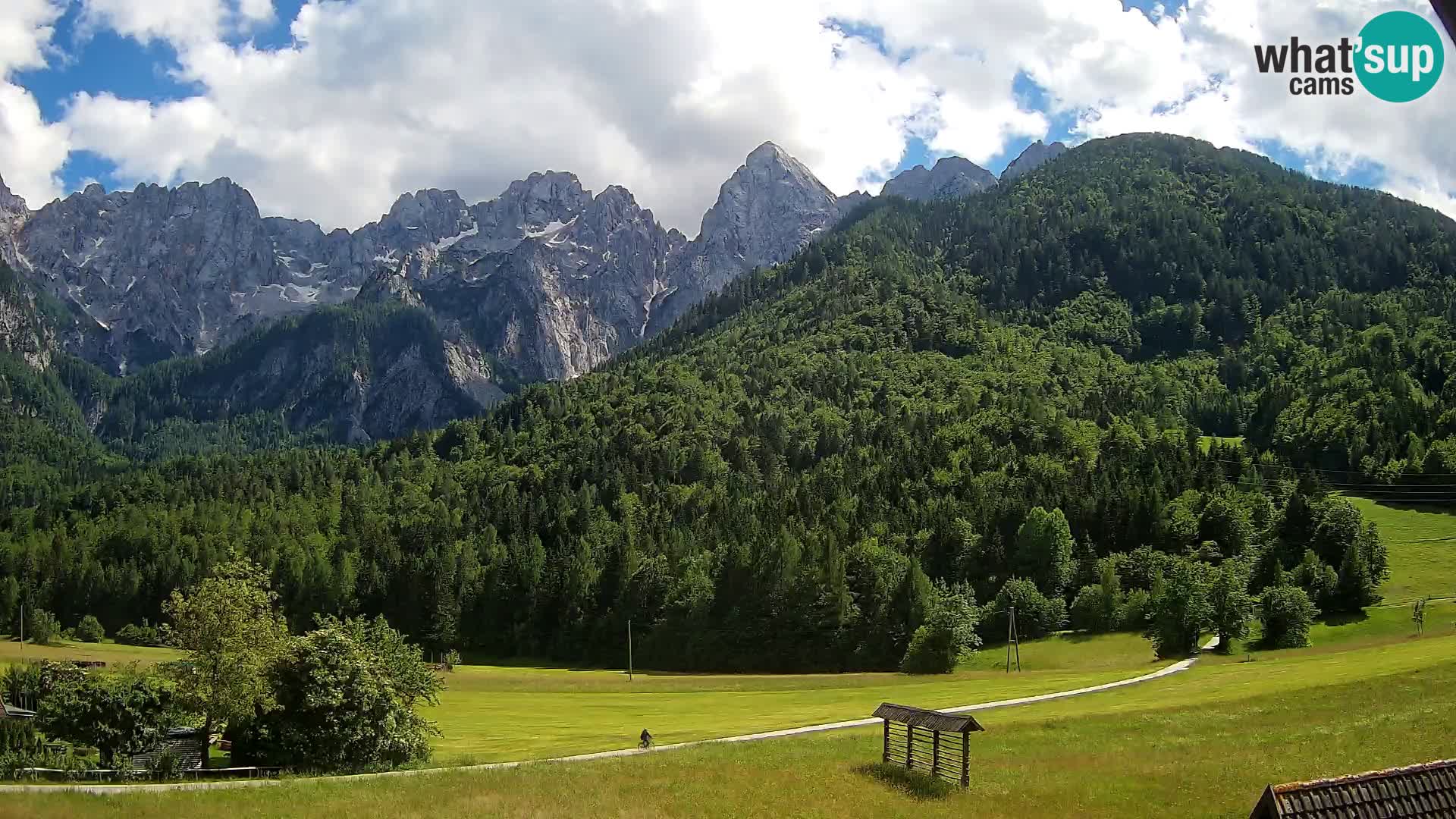 Gozd Martuljek – Špik Mountain Group