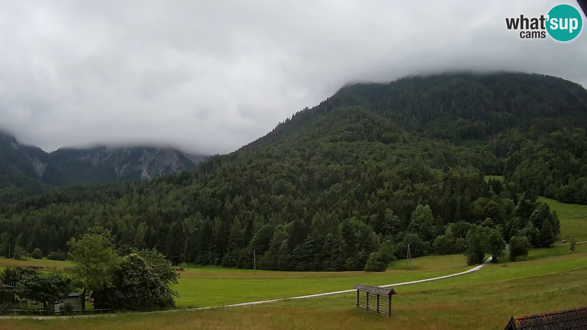 Gozd Martuljek – Špikova skupina