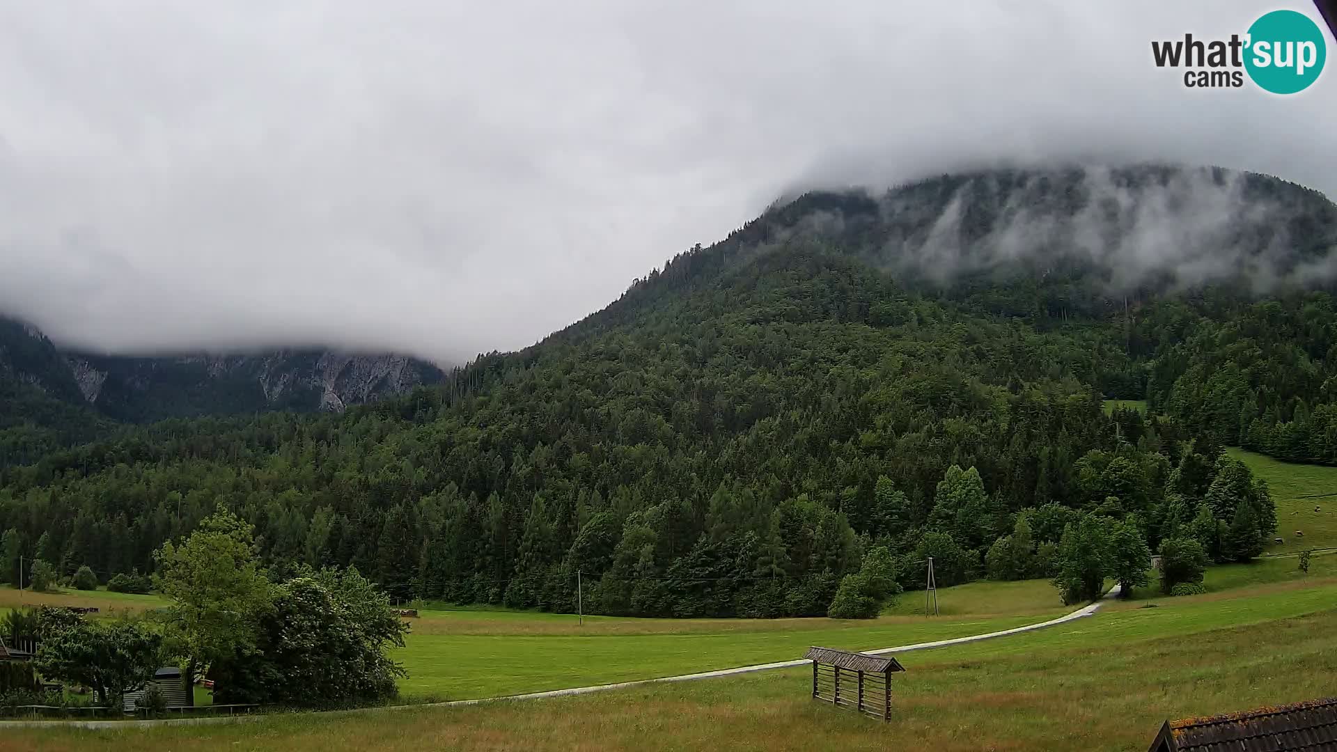 Gozd Martuljek – Špik Mountain Group