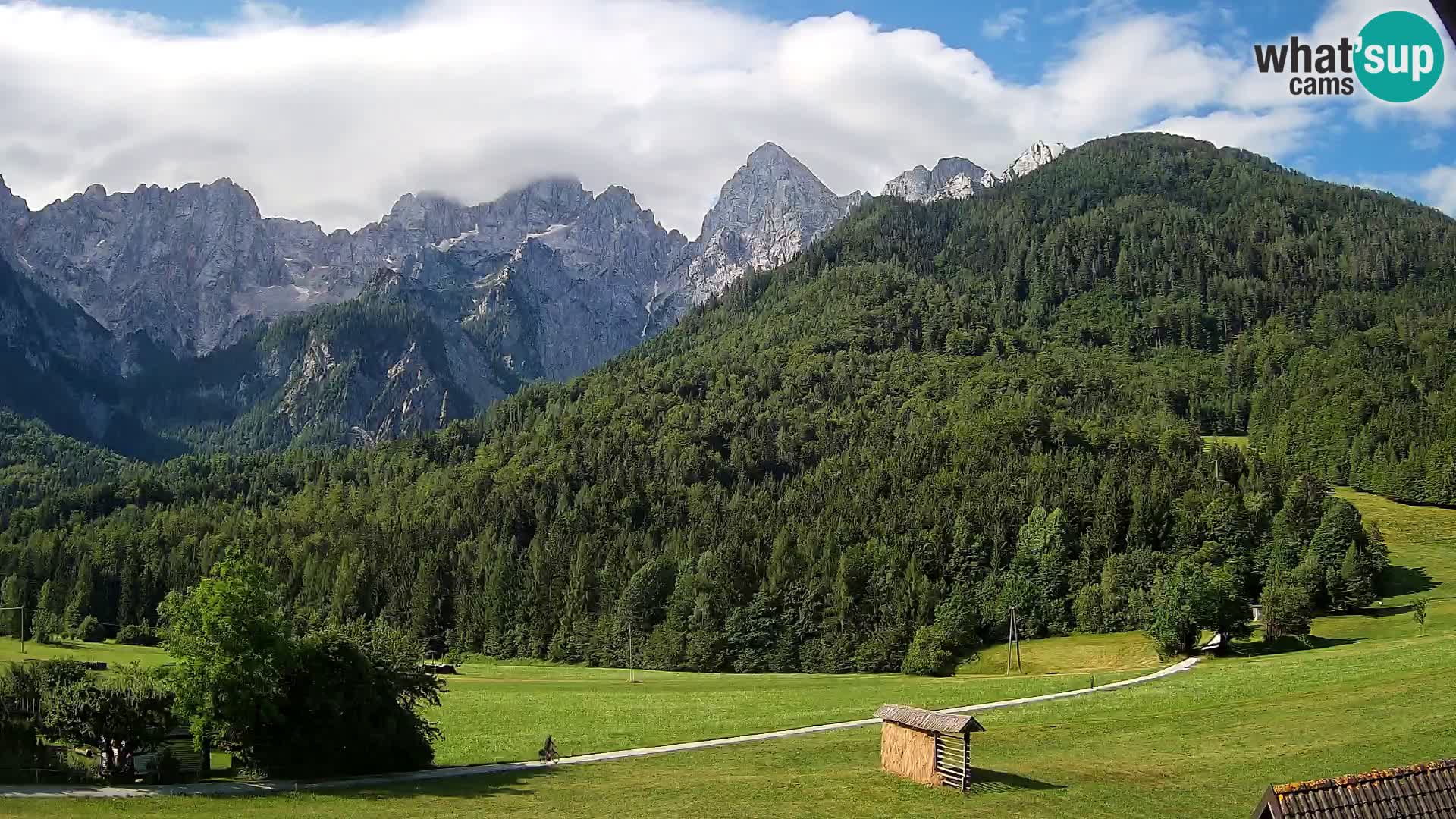 Gozd Martuljek – Špik Mountain Group