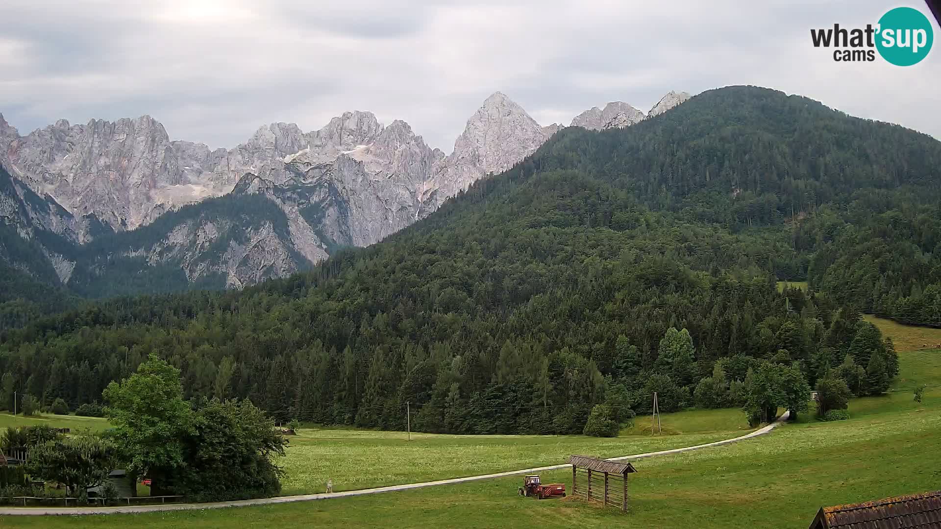 Gozd Martuljek – Špik Mountain Group