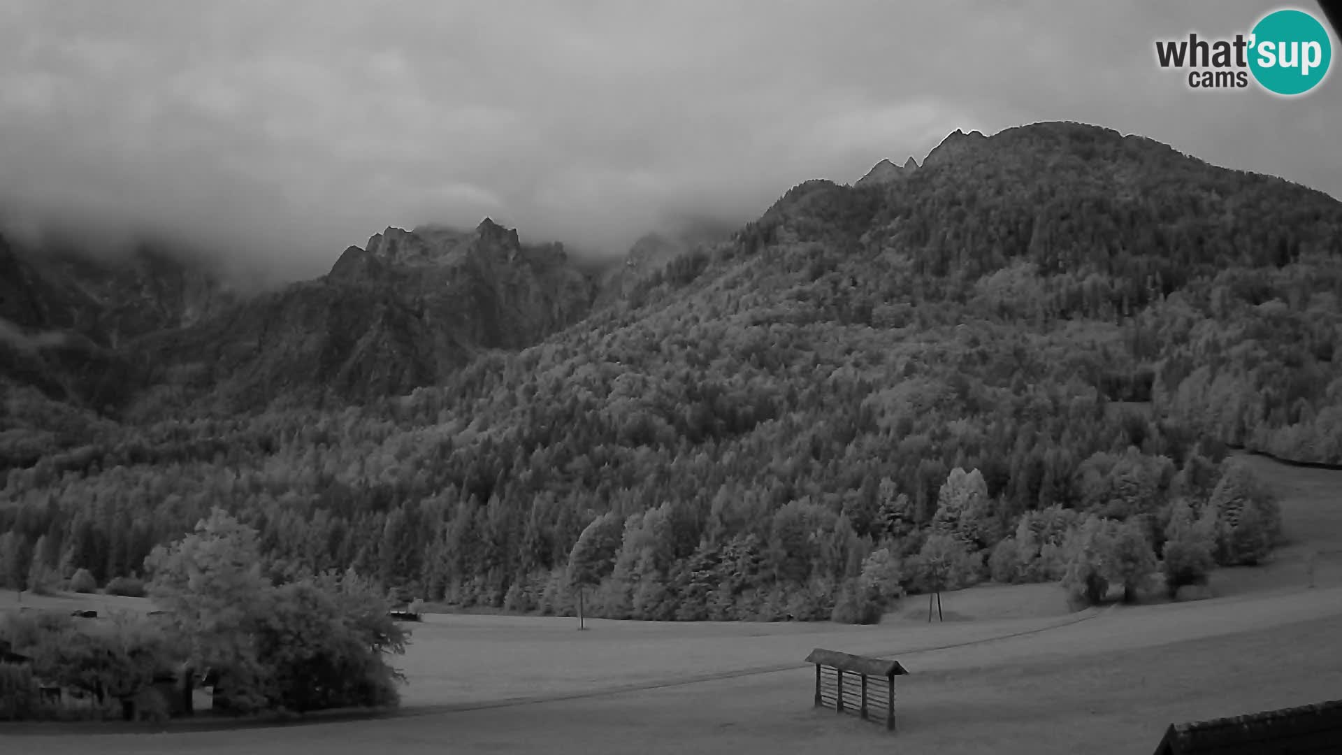 Gozd Martuljek – Špik Mountain Group