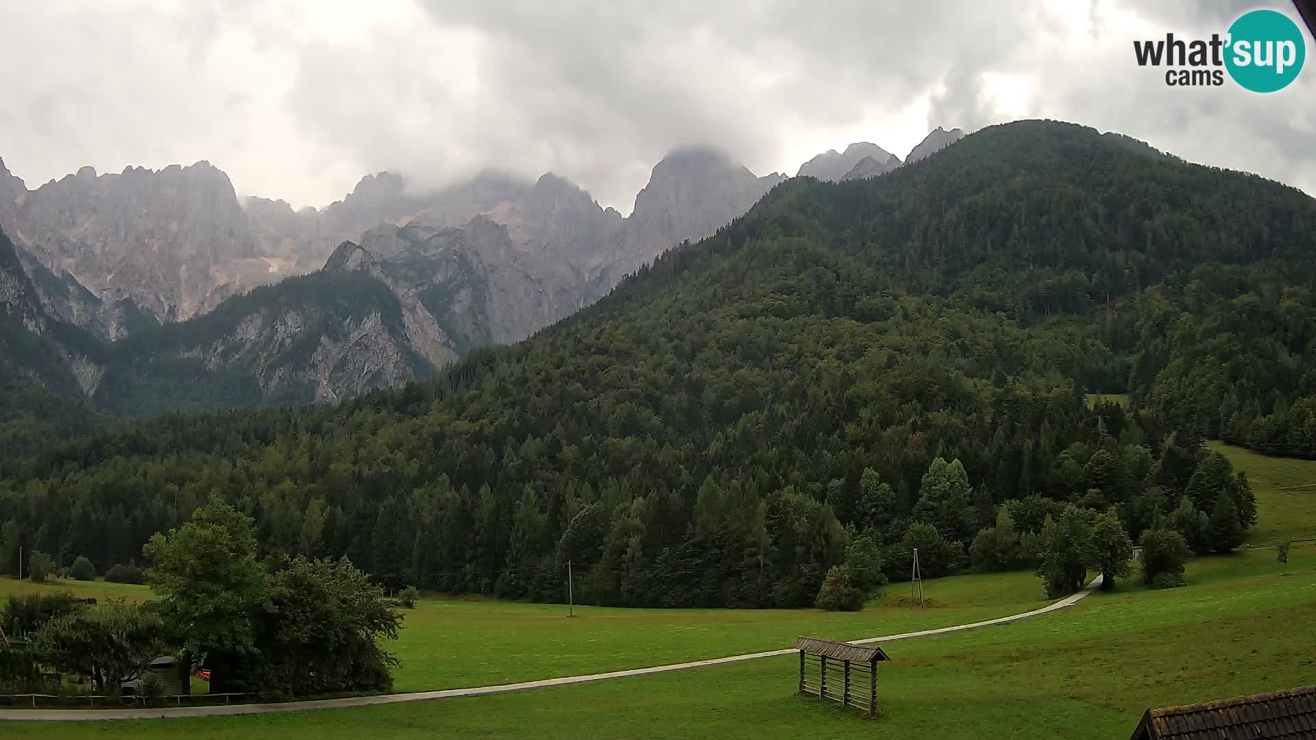 Gozd Martuljek – Špik Mountain Group