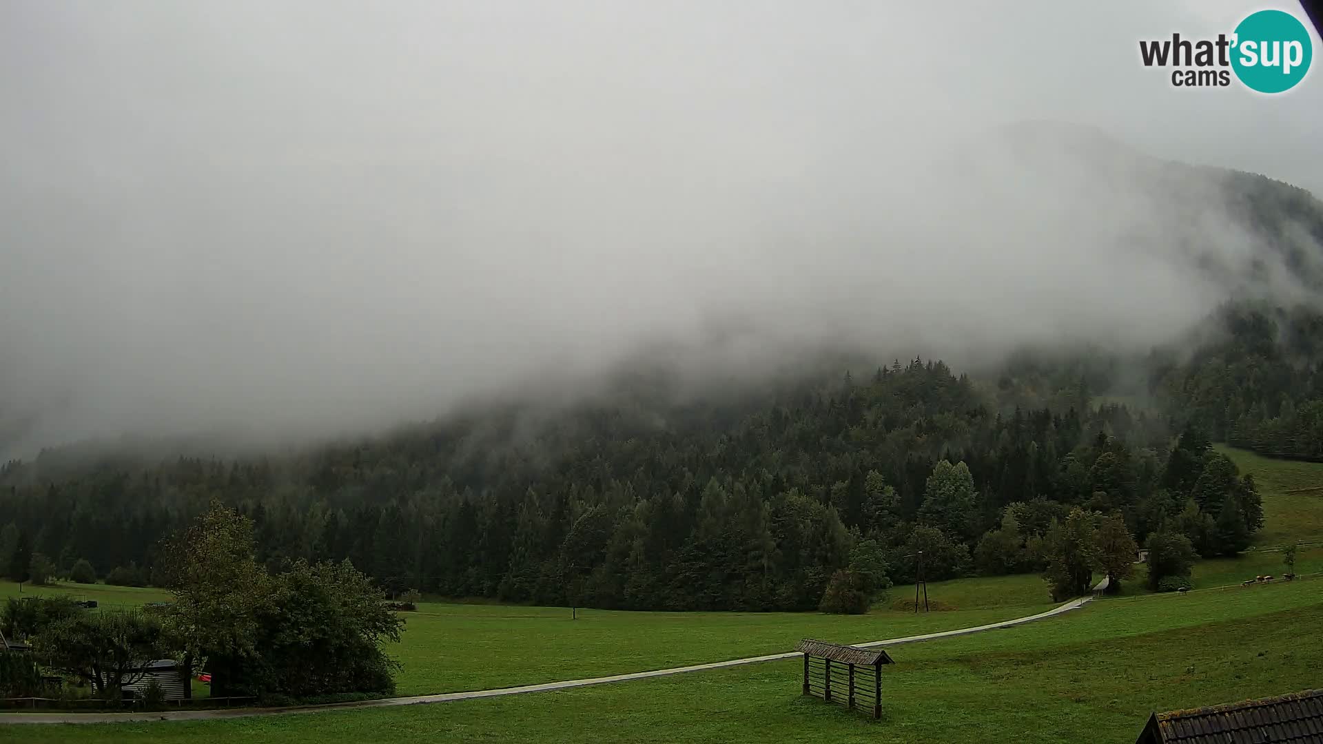 Gozd Martuljek – Špikova skupina