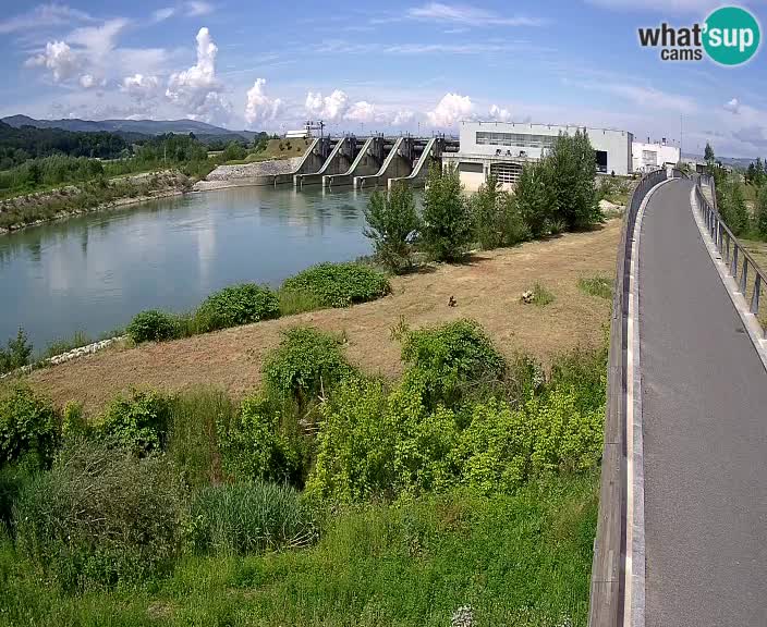 Hidroelektrarna – HSE – Brežice