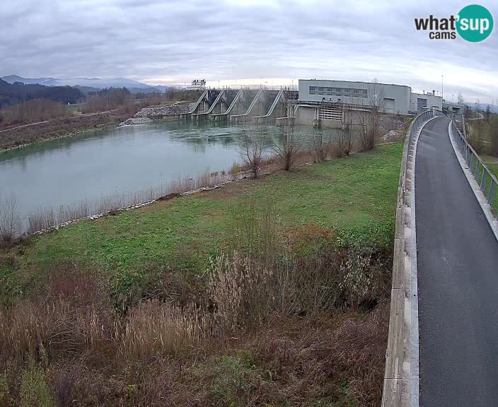 Hidroelektrarna – HSE – Brežice