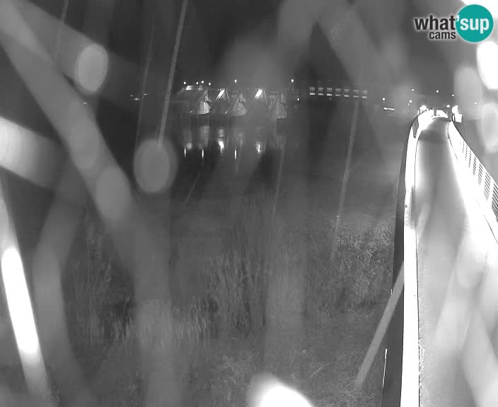 Hidroelektrarna – HSE – Brežice