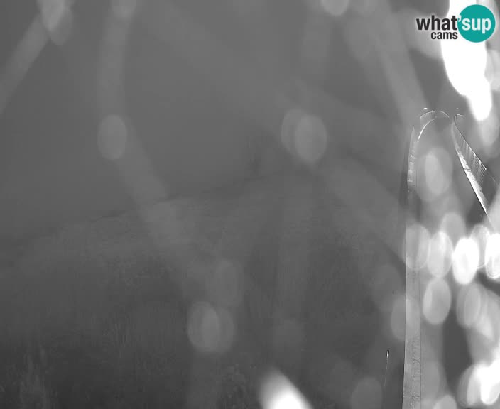 Wasserkraftwerk – HSE – Brežice