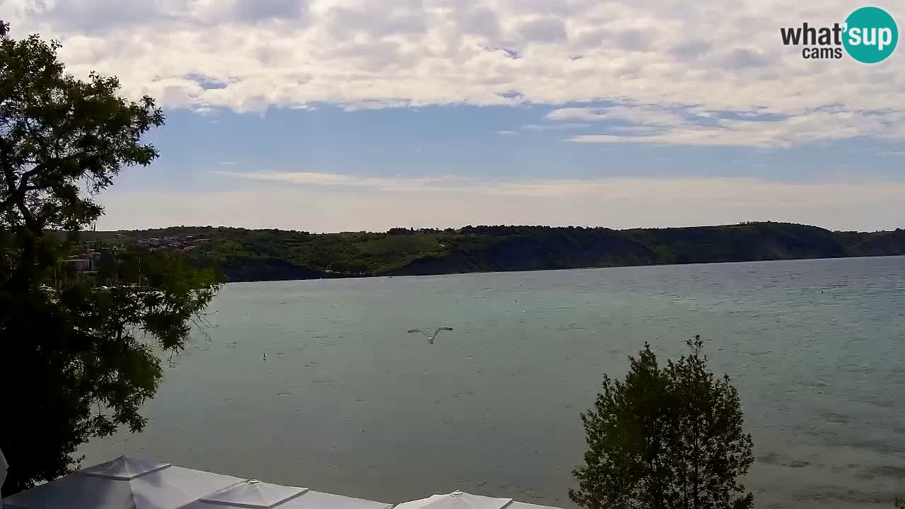 Izola – view from restaurant “Svetilnik”
