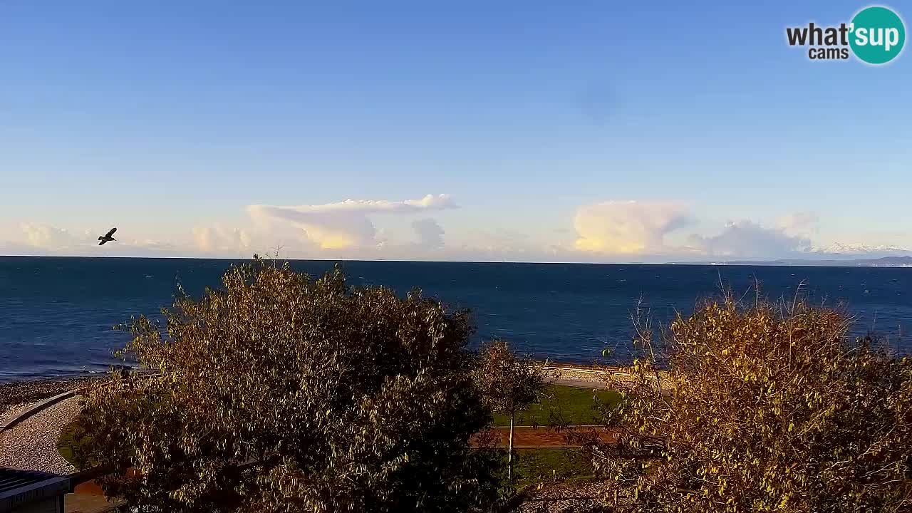 Izola – Vista desde el restaurante “Svetilnik”