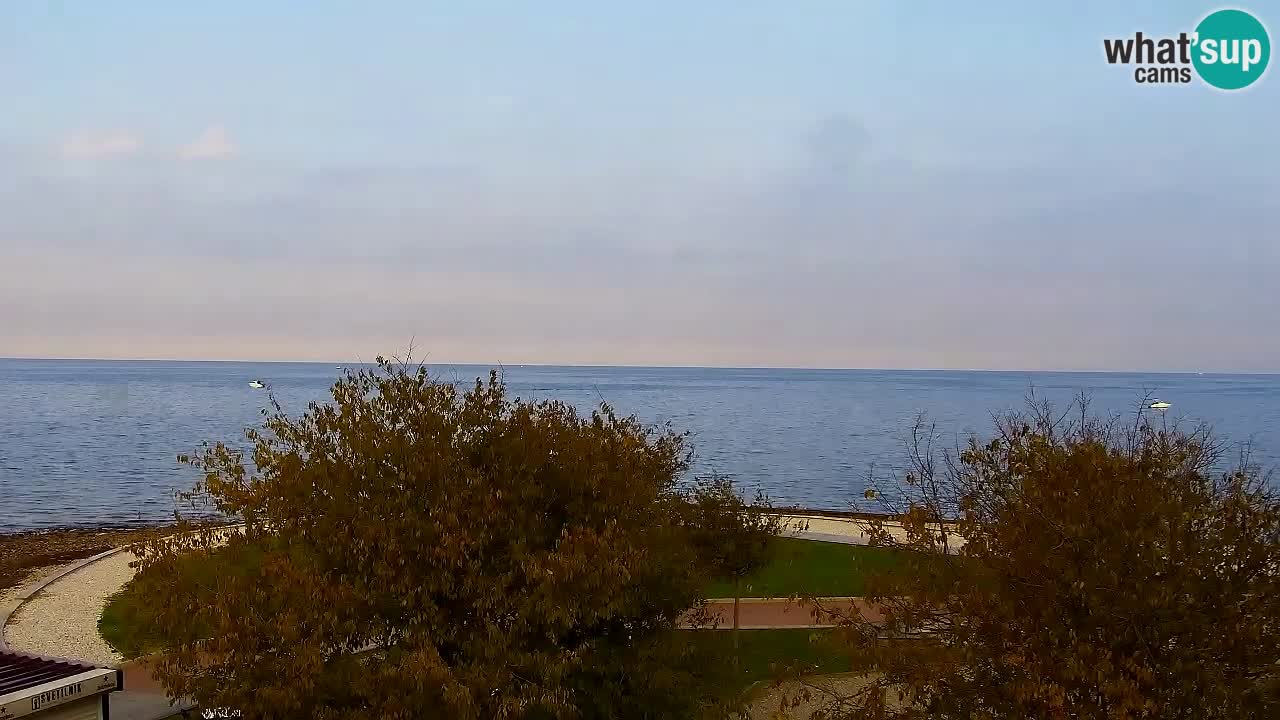 Isola – vista dal ristorante “Svetilnik – al Faro”