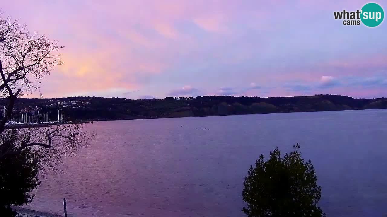 Isola – vista dal ristorante “Svetilnik – al Faro”