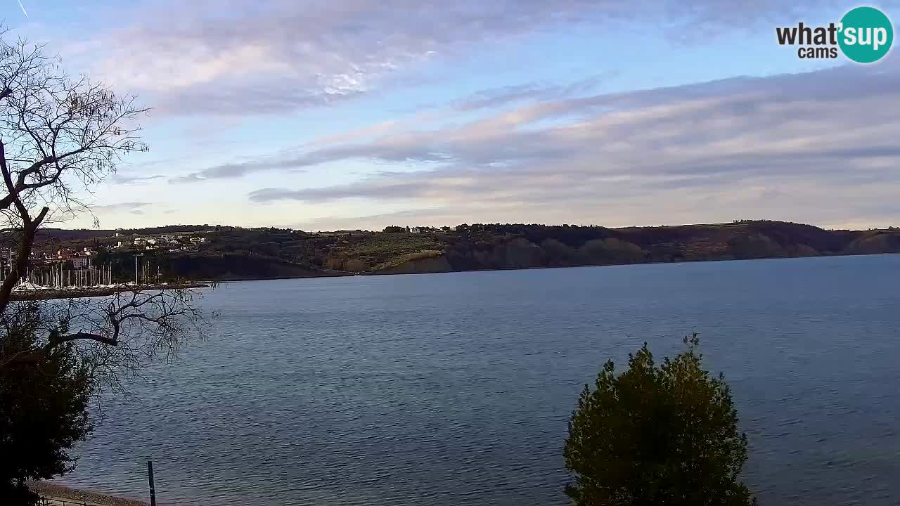 Izola – vue depuis le restaurant “Svetilnik”